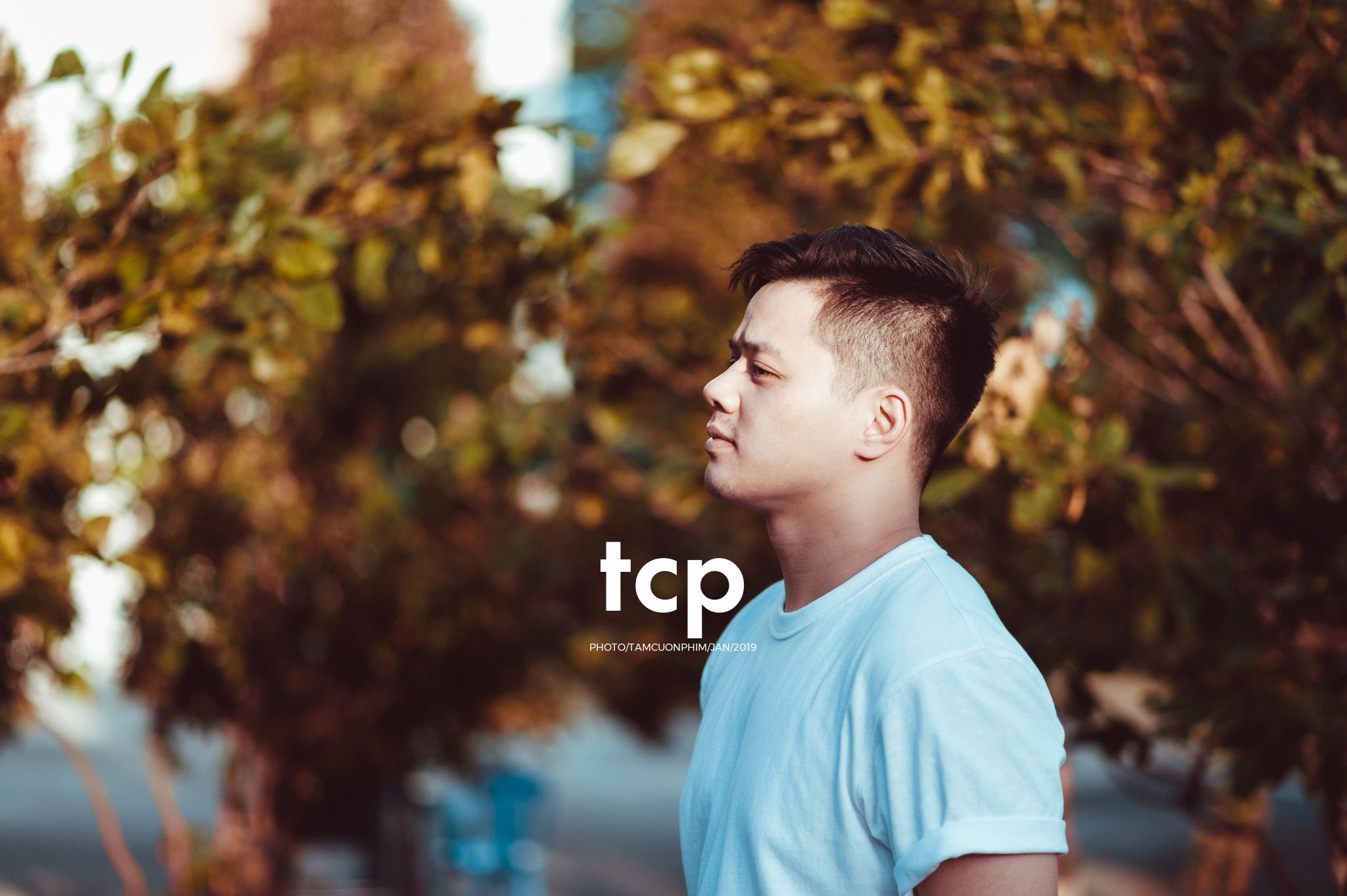 Tám Cuộn Phim - Sắc thái đô thị dưới ánh hoàng hôn