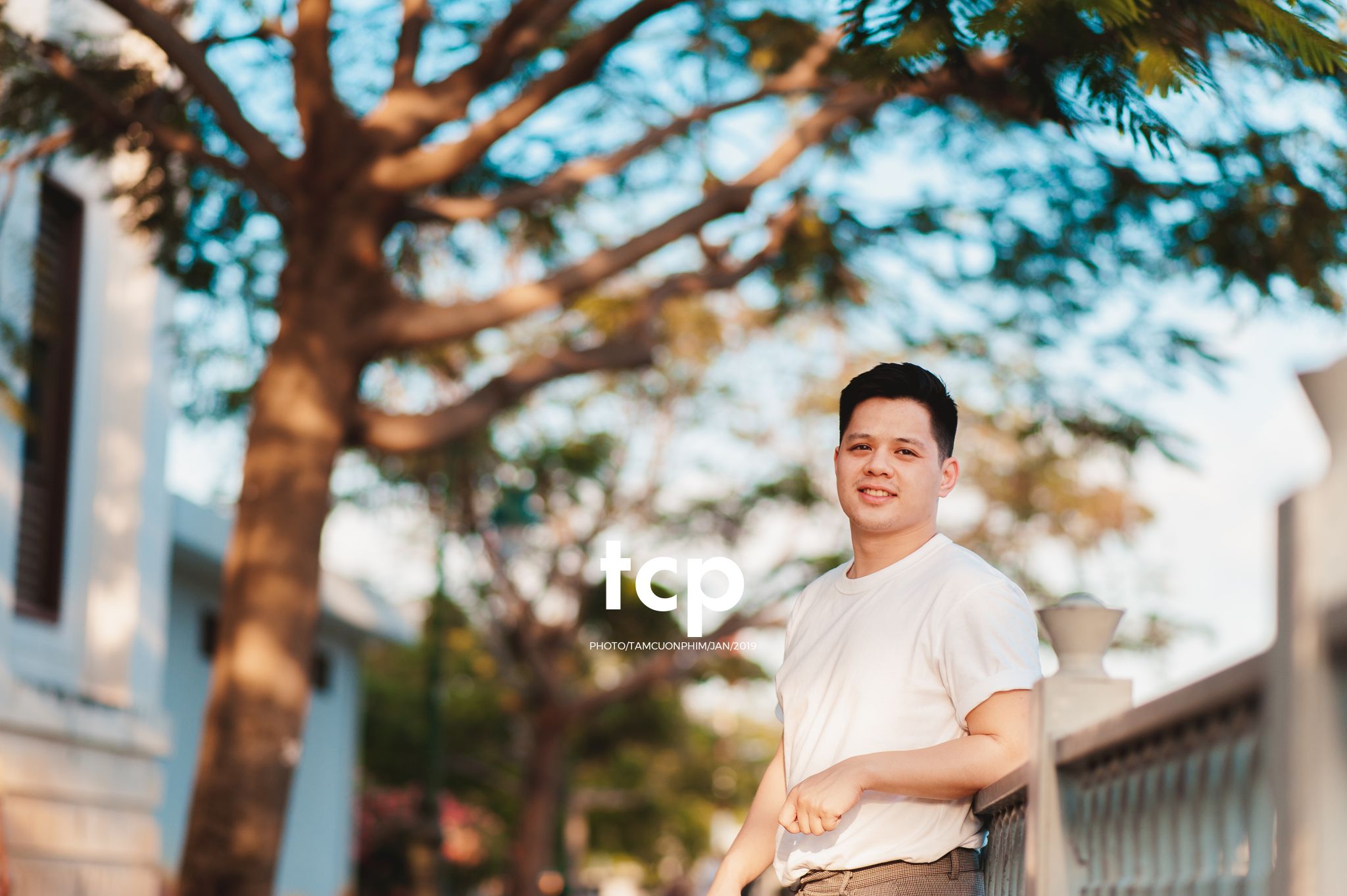 Tám Cuộn Phim - Sắc thái đô thị dưới ánh hoàng hôn