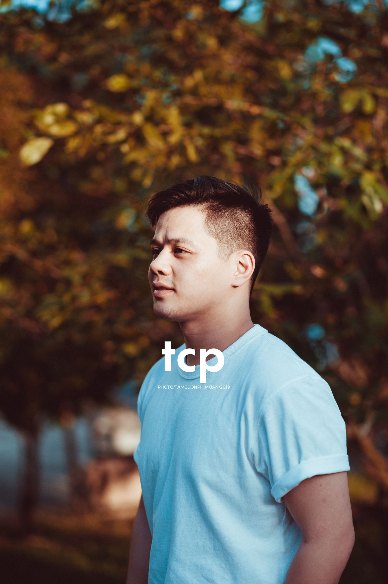 Tám Cuộn Phim - Sắc thái đô thị dưới ánh hoàng hôn