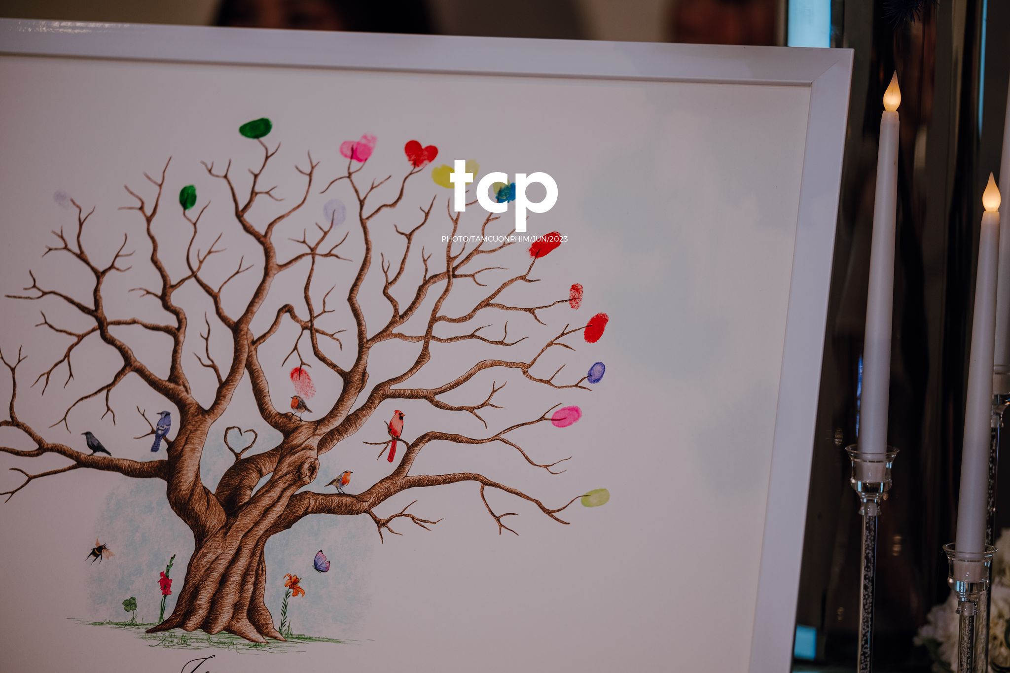 Tám Cuộn Phim - Khi cô dâu chú rể cũng là những "cây hài" chính hiệu!