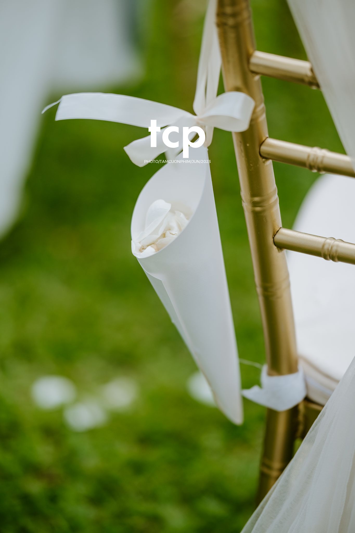 Tám Cuộn Phim - Mưa bất chợt đổ xuống ngay lúc lời thề nguyện bắt đầu