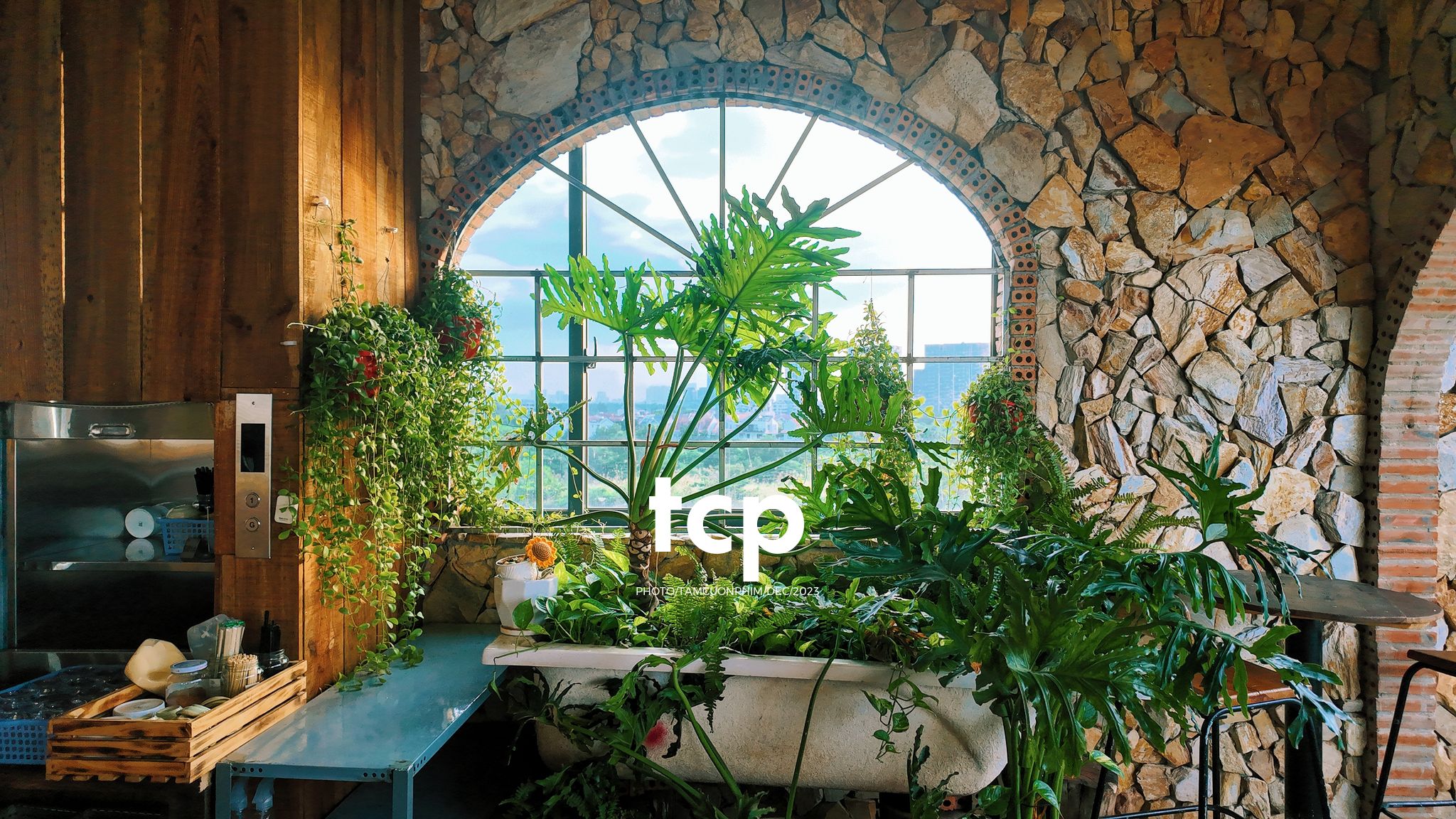 Tám Cuộn Phim - Bạn đã bao giờ tìm một góc bình yên giữa lòng thành phố chưa?