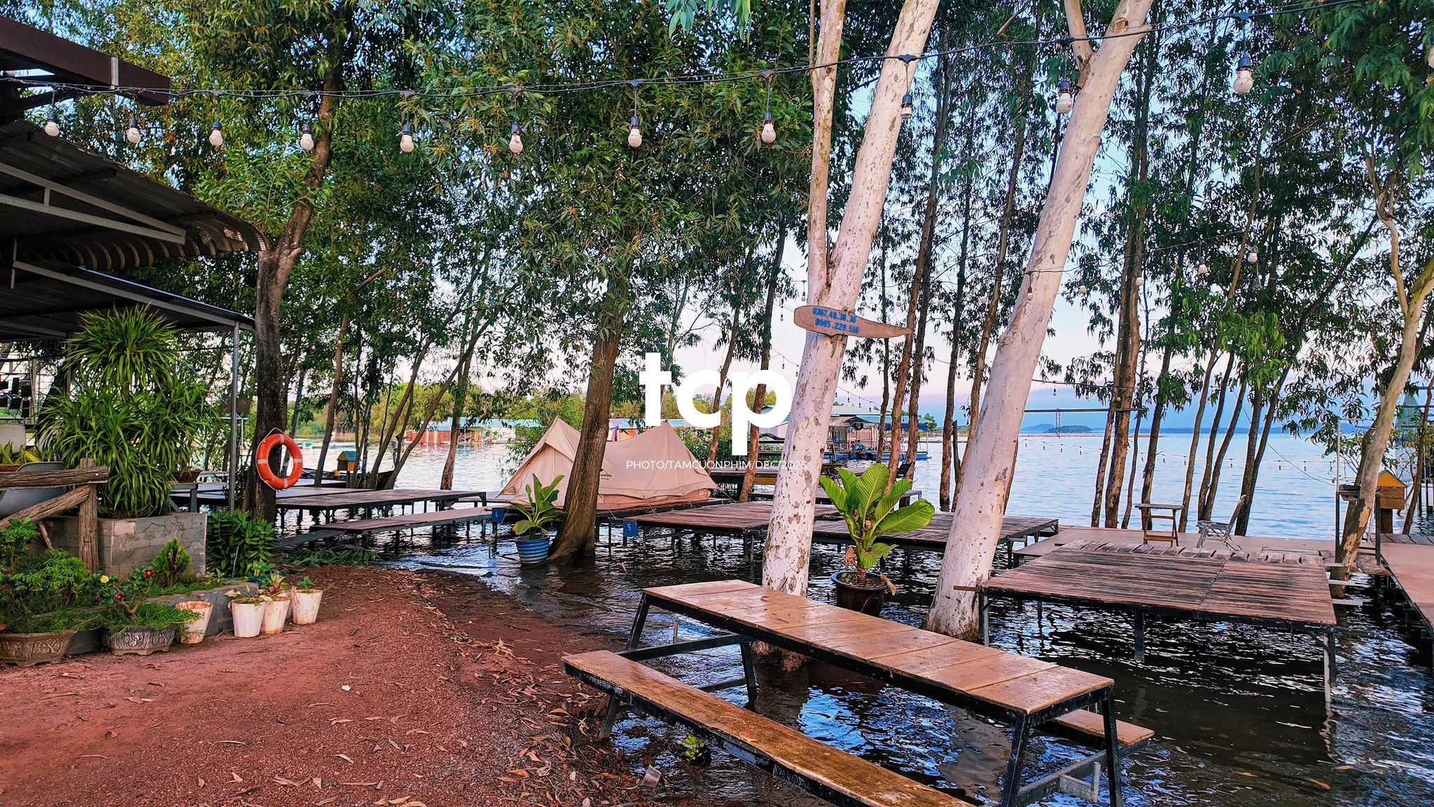 Tám Cuộn Phim - Nắng chiều và hơi nước mát lạnh