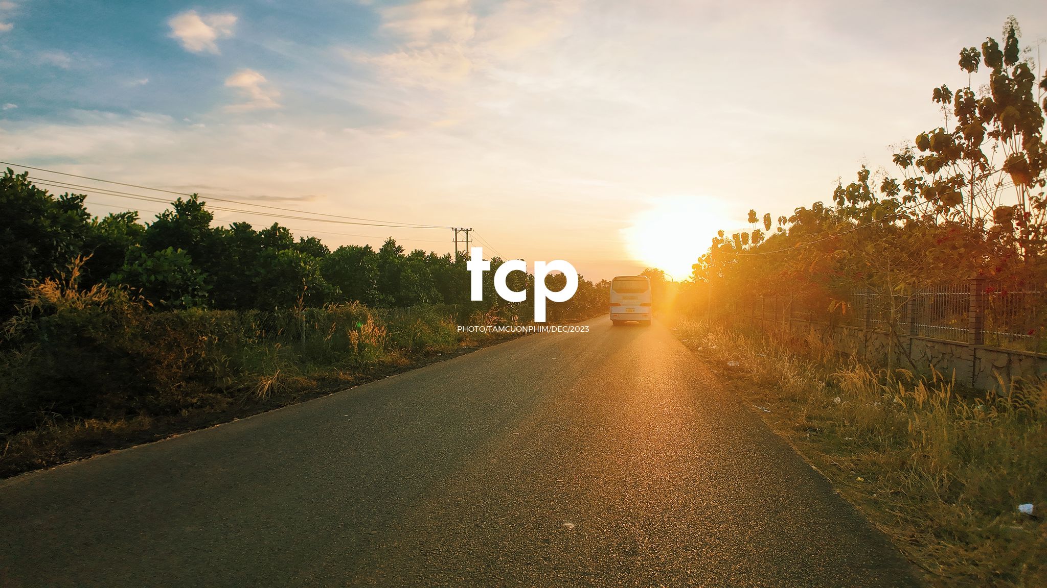 Tám Cuộn Phim - Nắng chiều và hơi nước mát lạnh