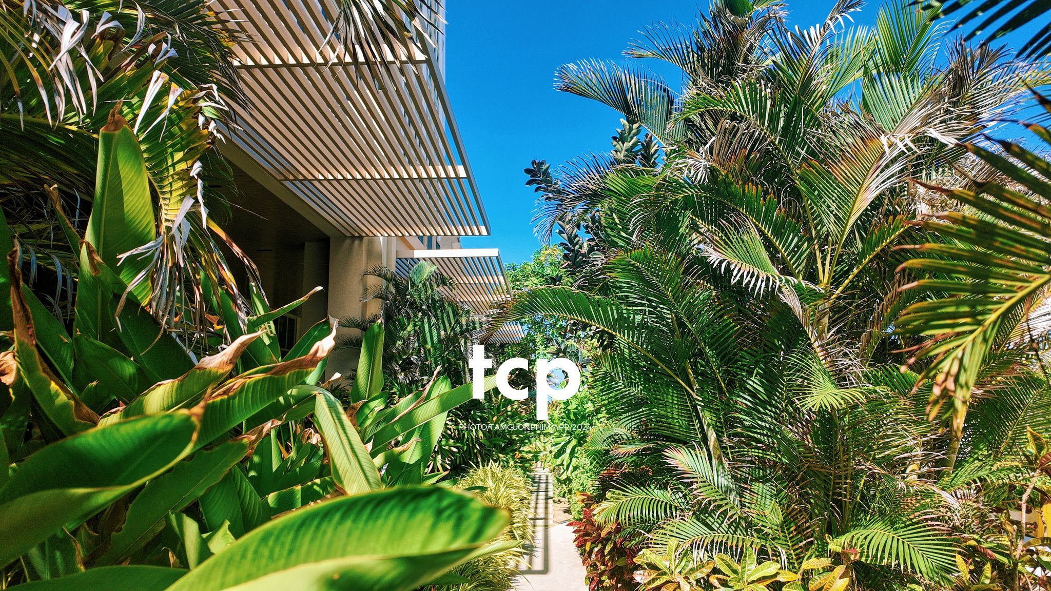 Tám Cuộn Phim - Nắng gió miền biển vắng