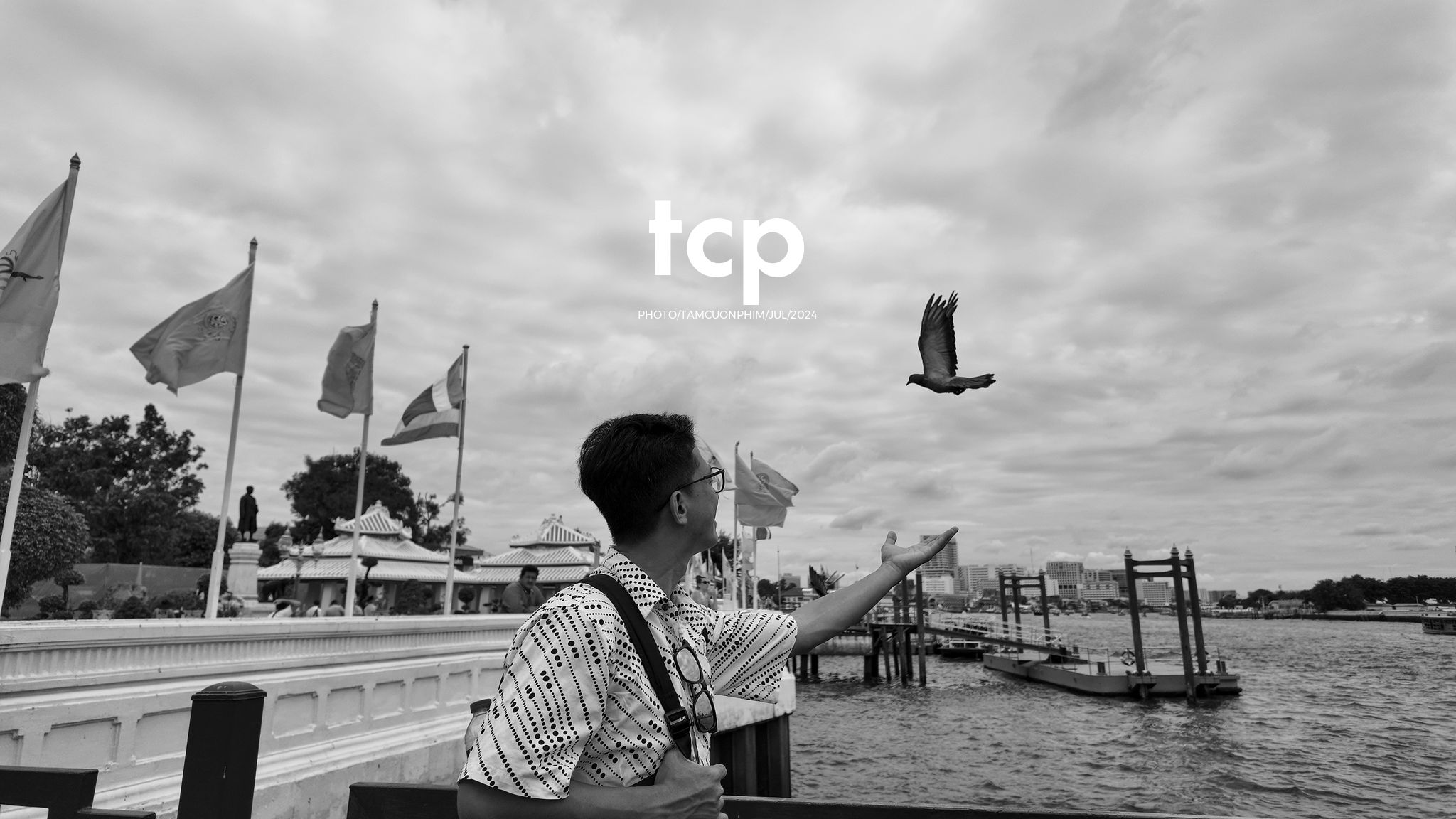 Tám Cuộn Phim - Chuyến tàu cuối cùng kịp giờ hẹn