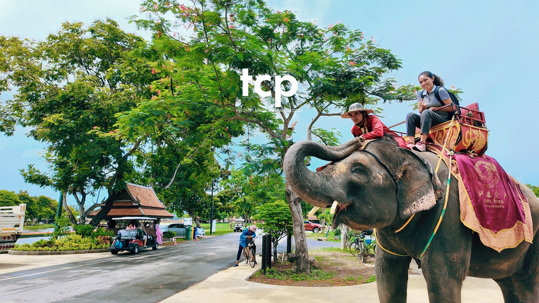 Tám Cuộn Phim - Chuyến tàu cuối cùng kịp giờ hẹn