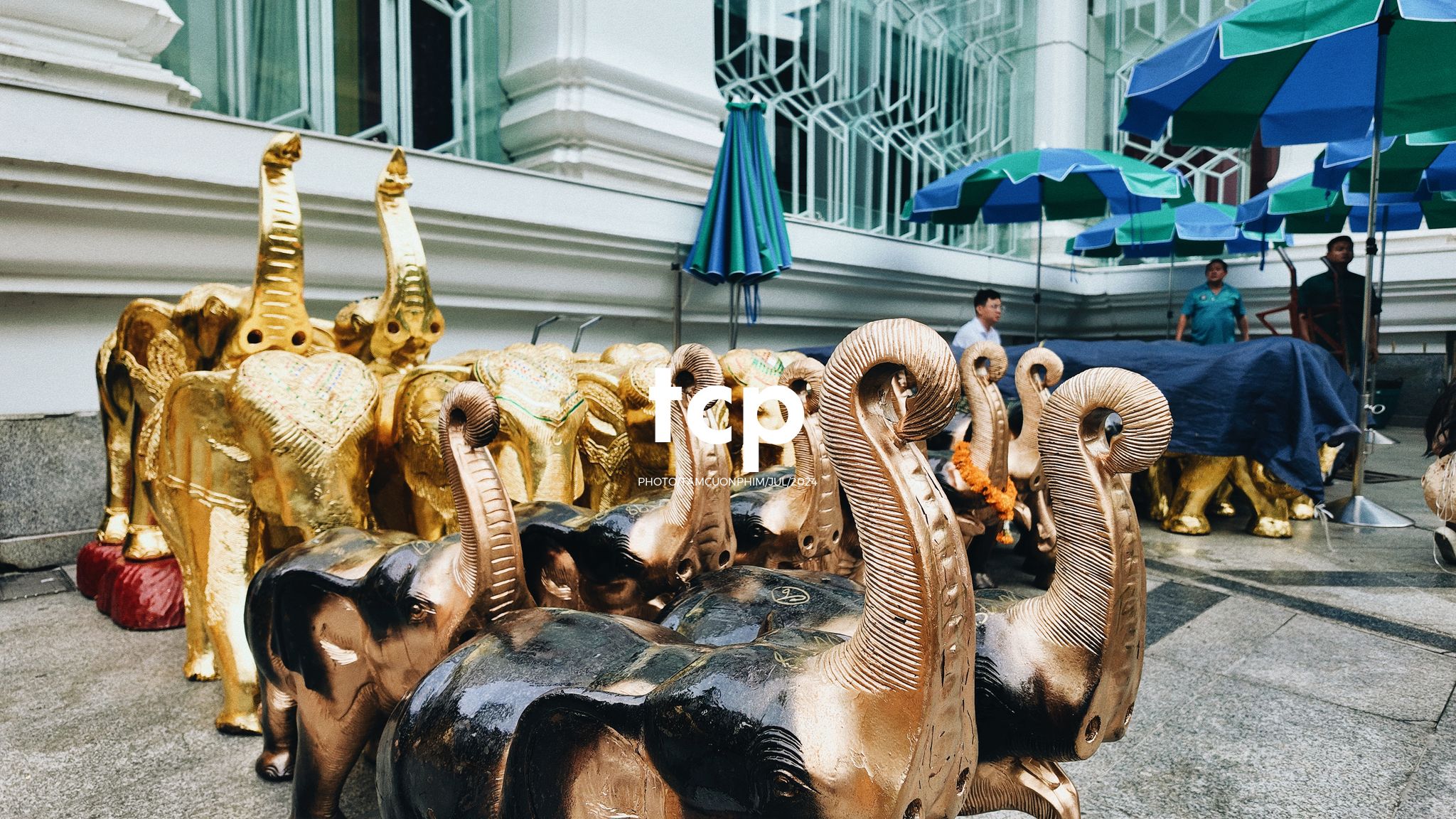 Tám Cuộn Phim - Chuyến tàu cuối cùng kịp giờ hẹn