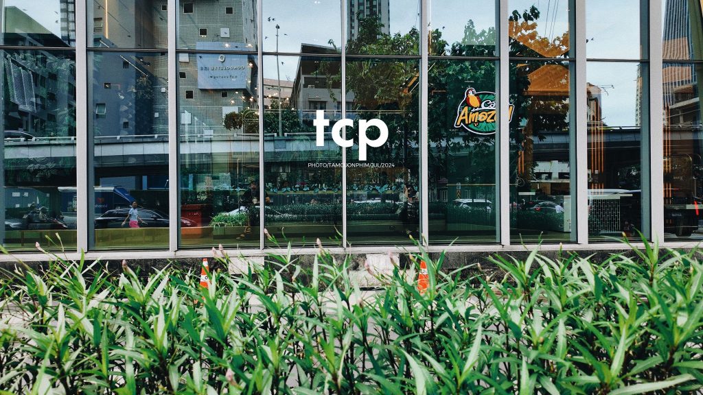 Tám Cuộn Phim - Chuyến tàu cuối cùng kịp giờ hẹn