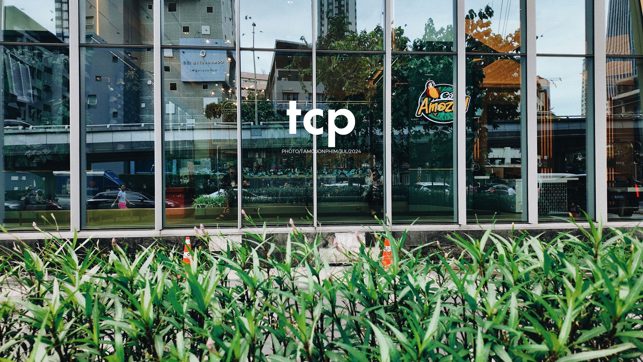 Tám Cuộn Phim - Chuyến tàu cuối cùng kịp giờ hẹn