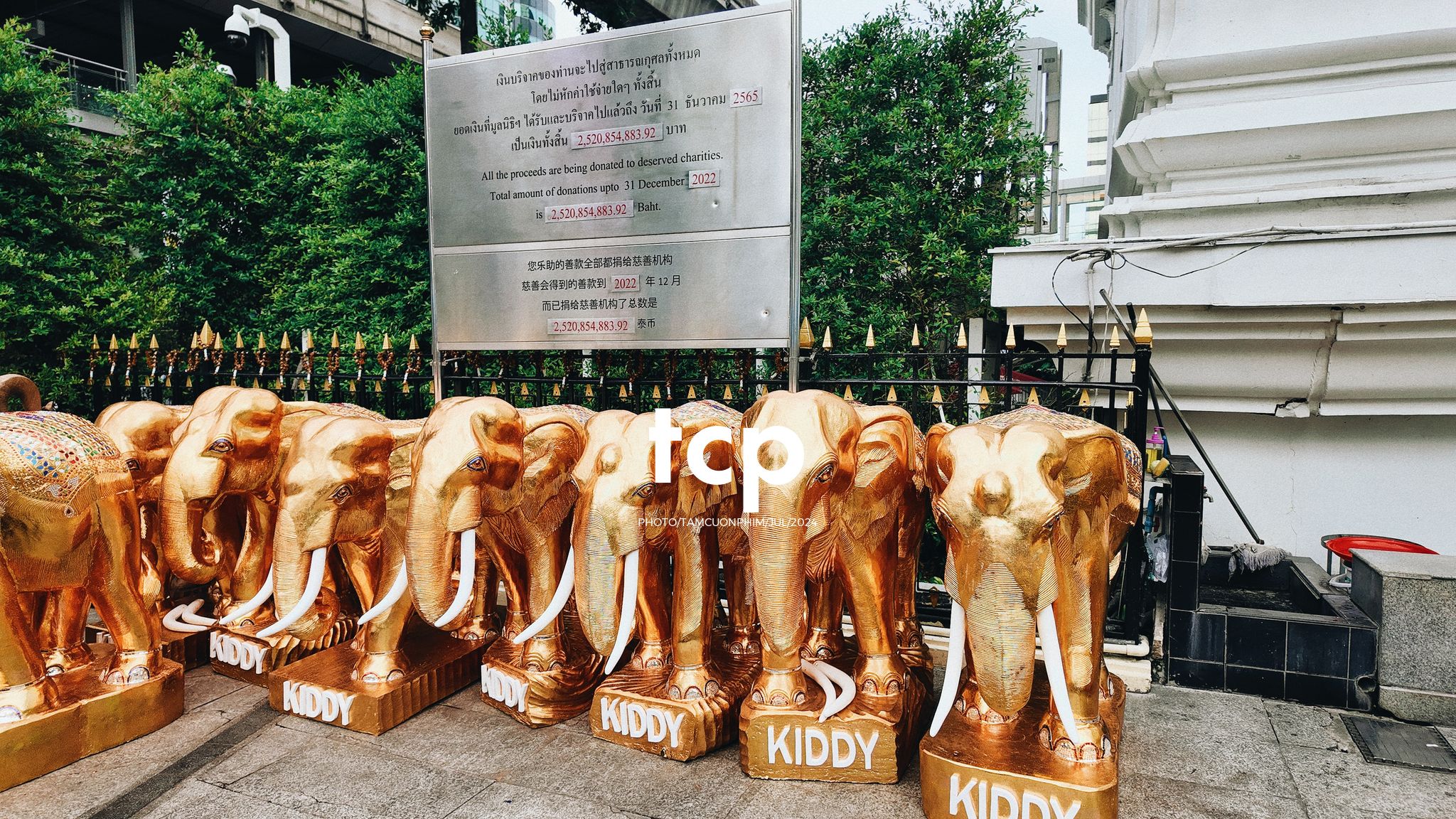 Tám Cuộn Phim - Chuyến tàu cuối cùng kịp giờ hẹn