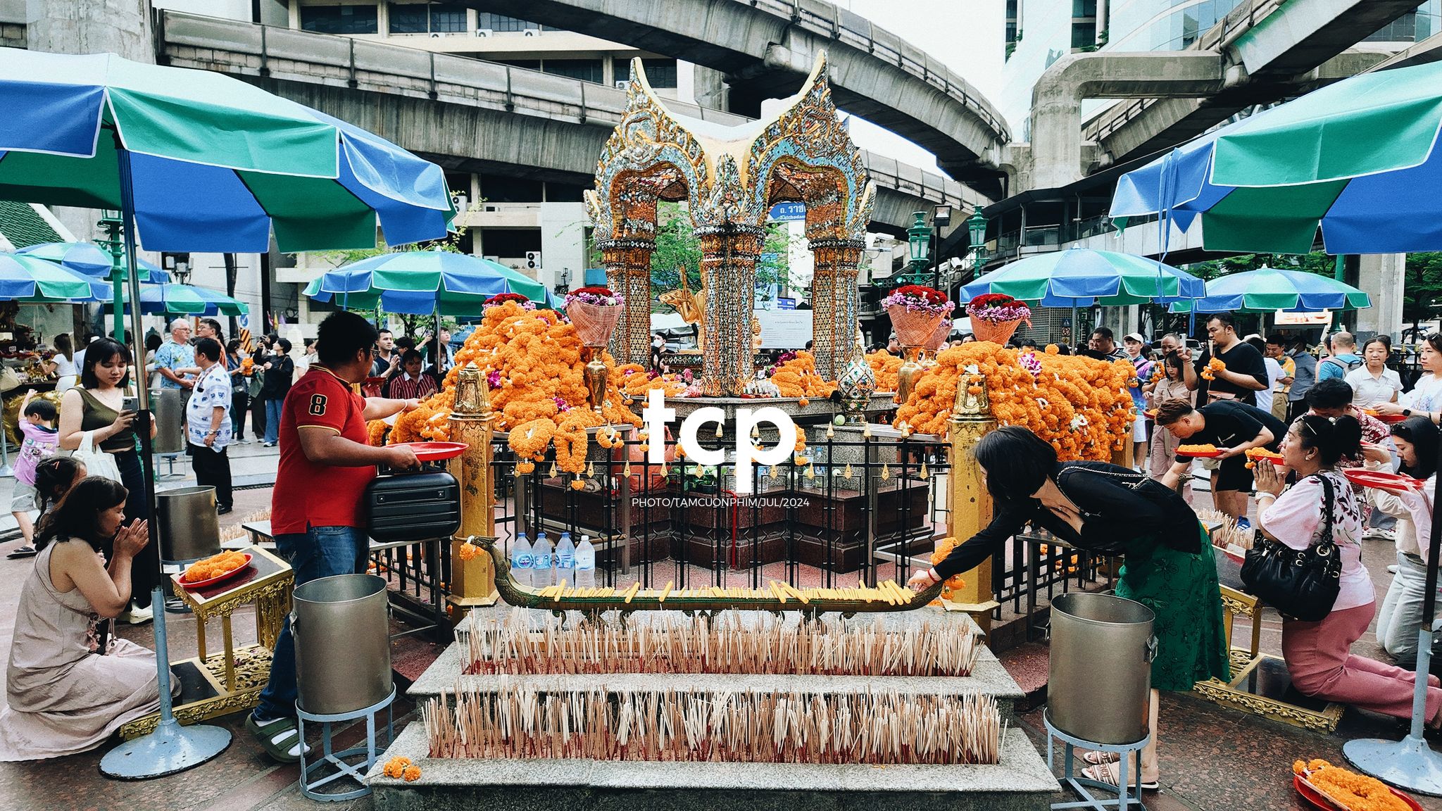 Tám Cuộn Phim - Chuyến tàu cuối cùng kịp giờ hẹn