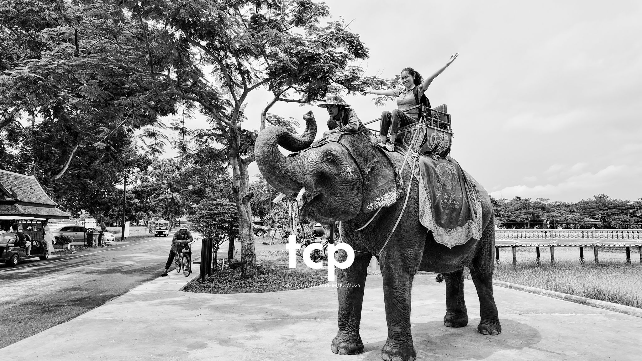 Tám Cuộn Phim - Chuyến tàu cuối cùng kịp giờ hẹn