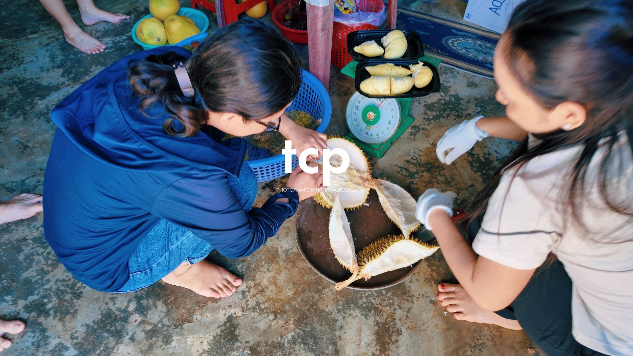 Tám Cuộn Phim - Nhịp Điệu Xanh Trên Vùng Cao Nguyên