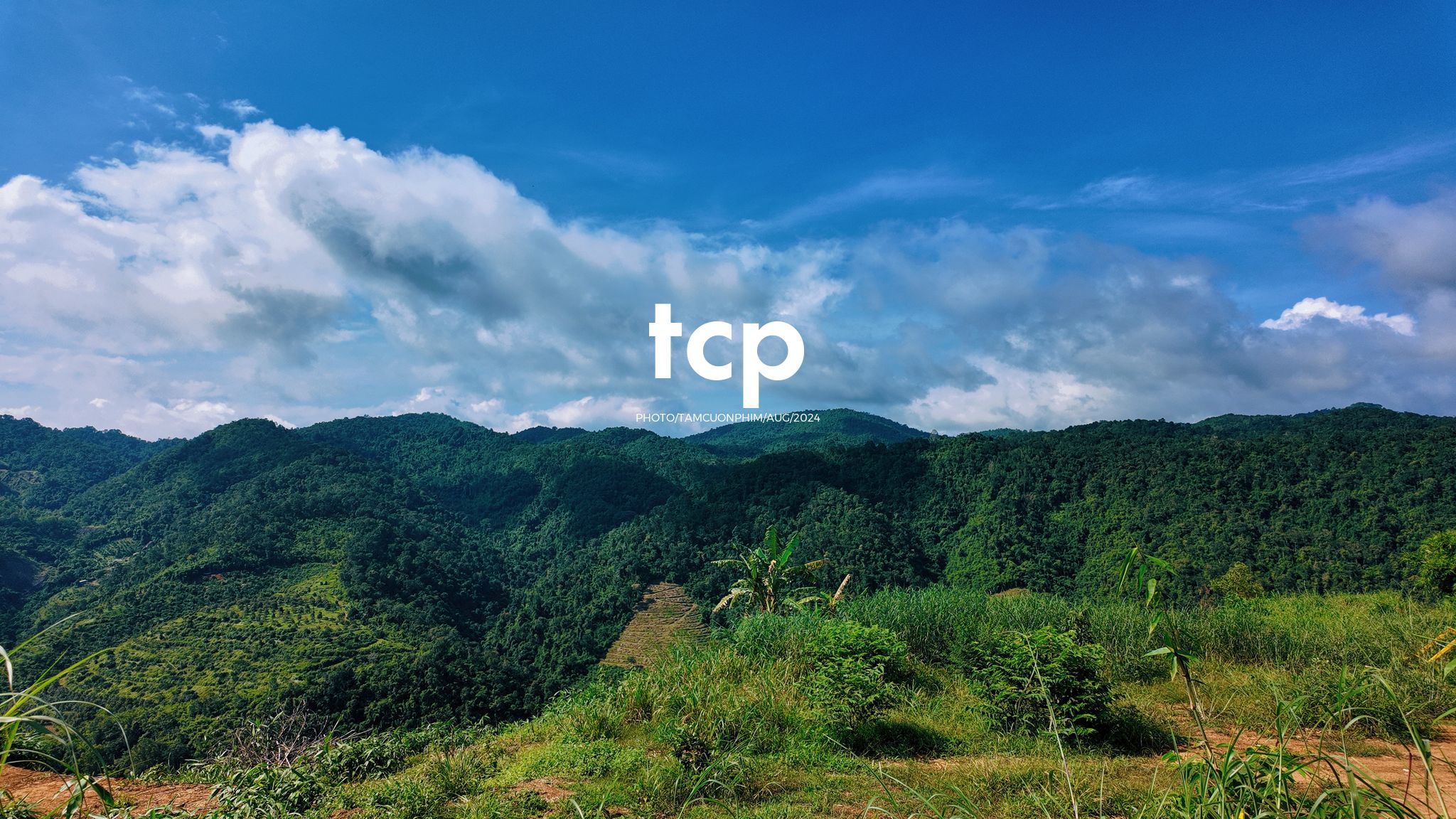 Tám Cuộn Phim - Nhịp Điệu Xanh Trên Vùng Cao Nguyên