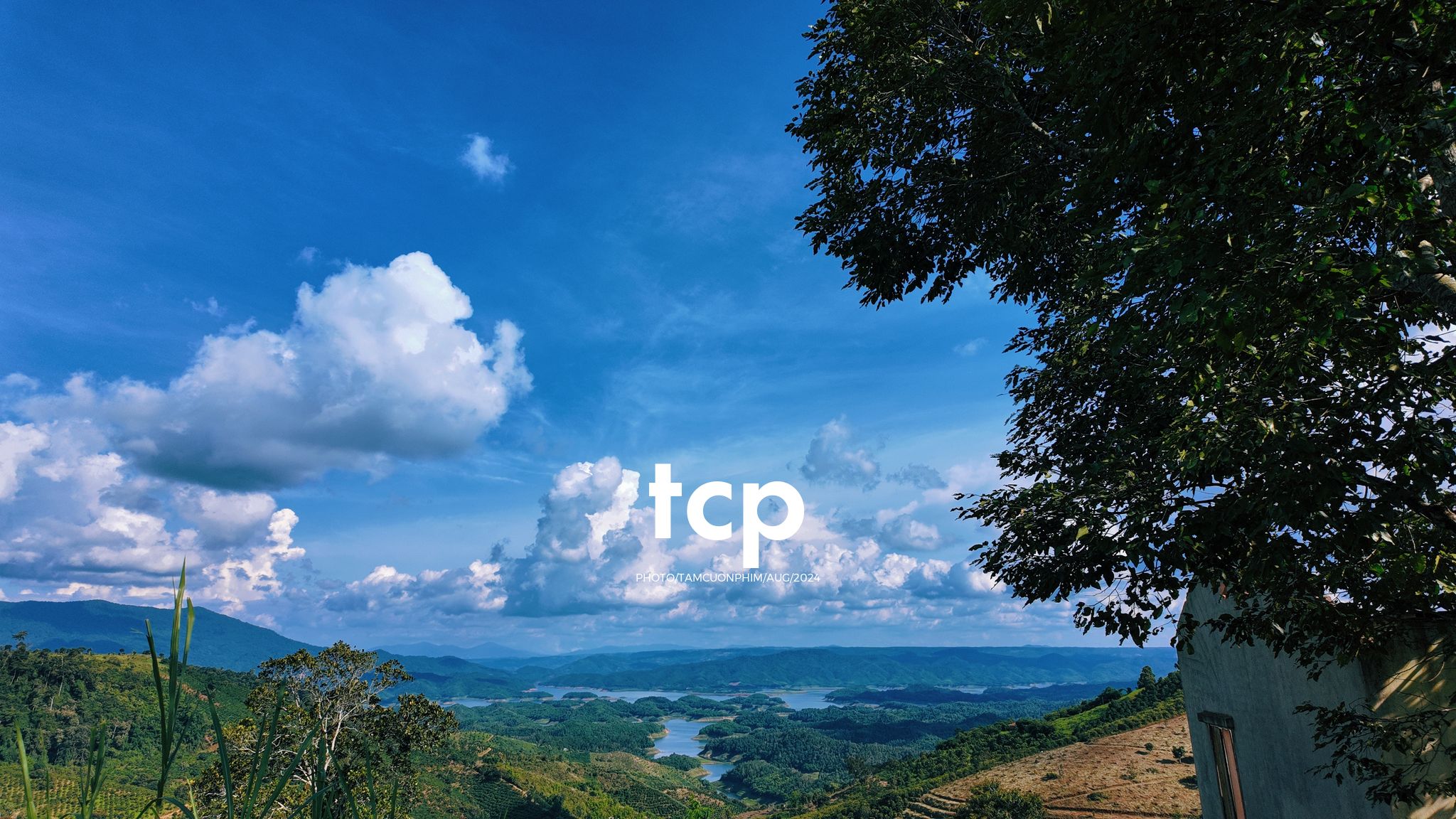 Tám Cuộn Phim - Nhịp Điệu Xanh Trên Vùng Cao Nguyên