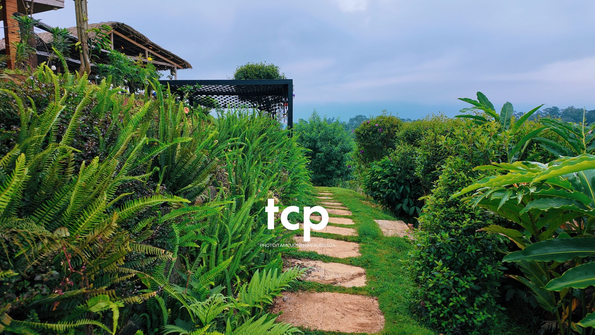 Tám Cuộn Phim - Nhịp Điệu Xanh Trên Vùng Cao Nguyên