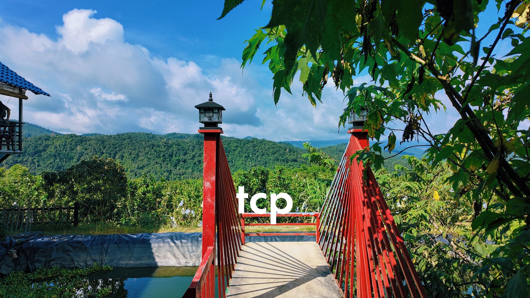 Tám Cuộn Phim - Nhịp Điệu Xanh Trên Vùng Cao Nguyên