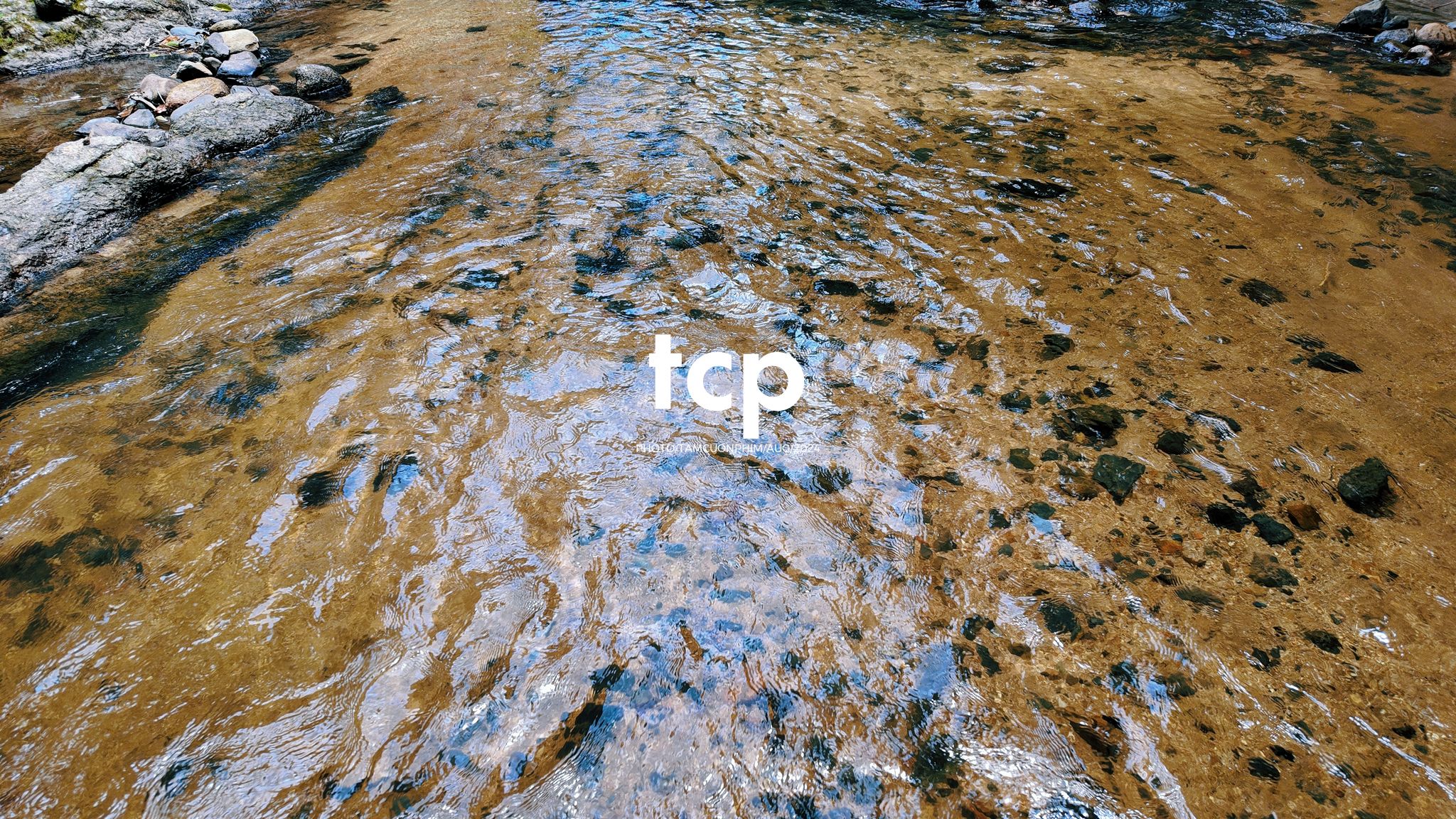 Tám Cuộn Phim - Nhịp Điệu Xanh Trên Vùng Cao Nguyên