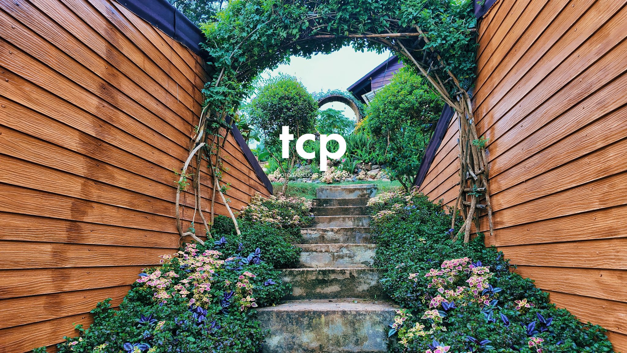 Tám Cuộn Phim - Nhịp Điệu Xanh Trên Vùng Cao Nguyên