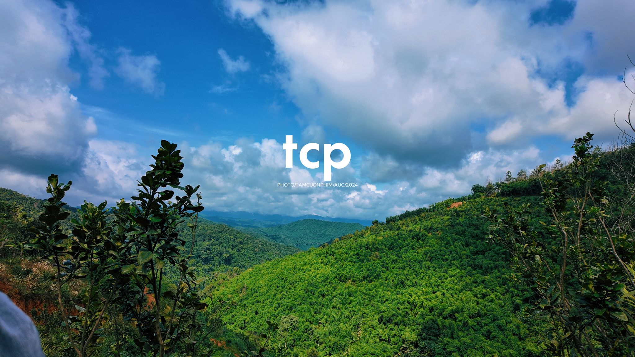 Tám Cuộn Phim - Nhịp Điệu Xanh Trên Vùng Cao Nguyên