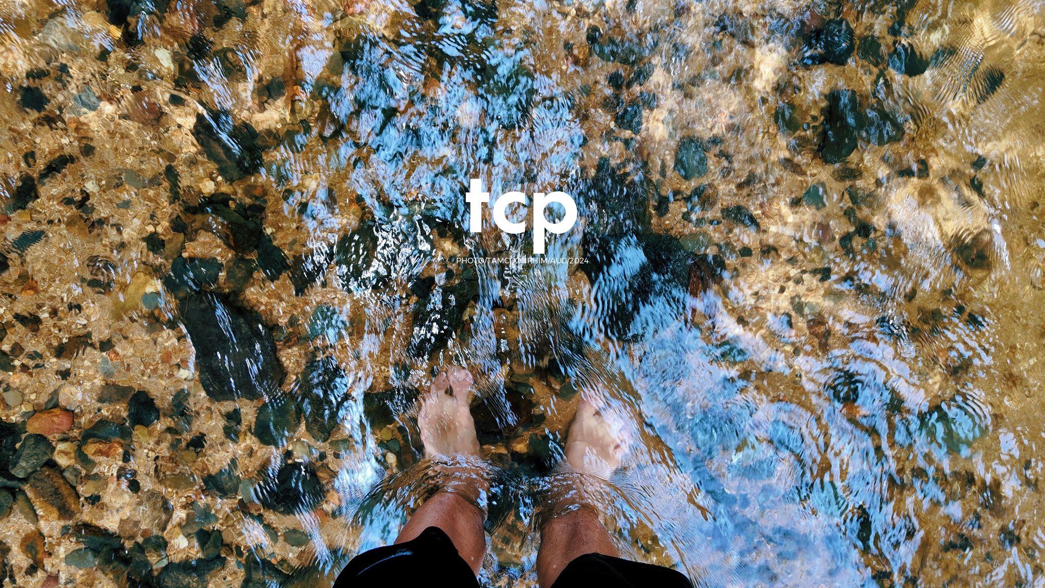 Tám Cuộn Phim - Nhịp Điệu Xanh Trên Vùng Cao Nguyên