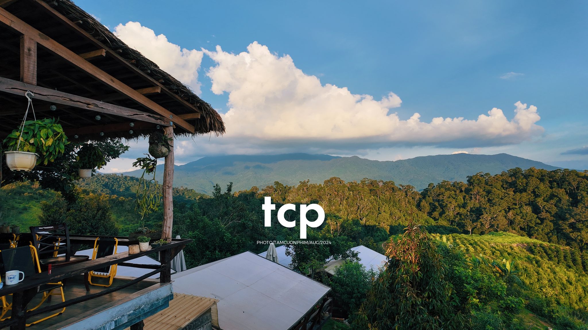 Tám Cuộn Phim - Nhịp Điệu Xanh Trên Vùng Cao Nguyên