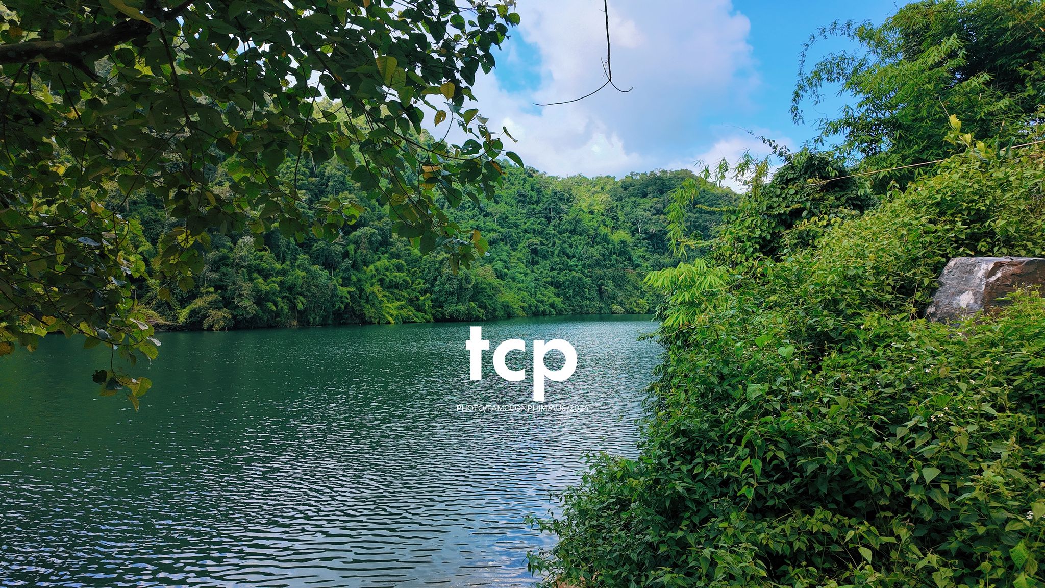 Tám Cuộn Phim - Nhịp Điệu Xanh Trên Vùng Cao Nguyên