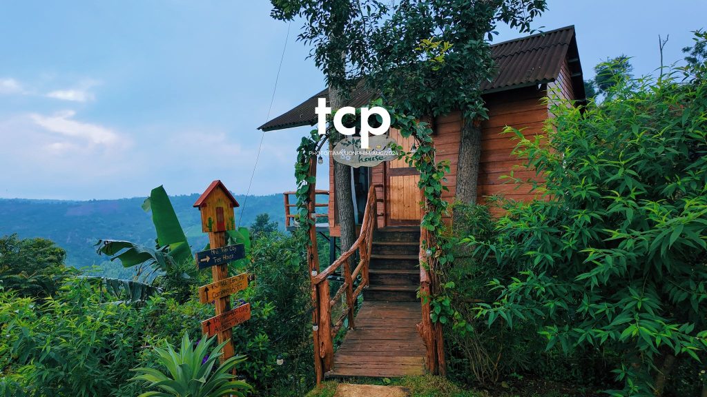 Tám Cuộn Phim - Nhịp Điệu Xanh Trên Vùng Cao Nguyên