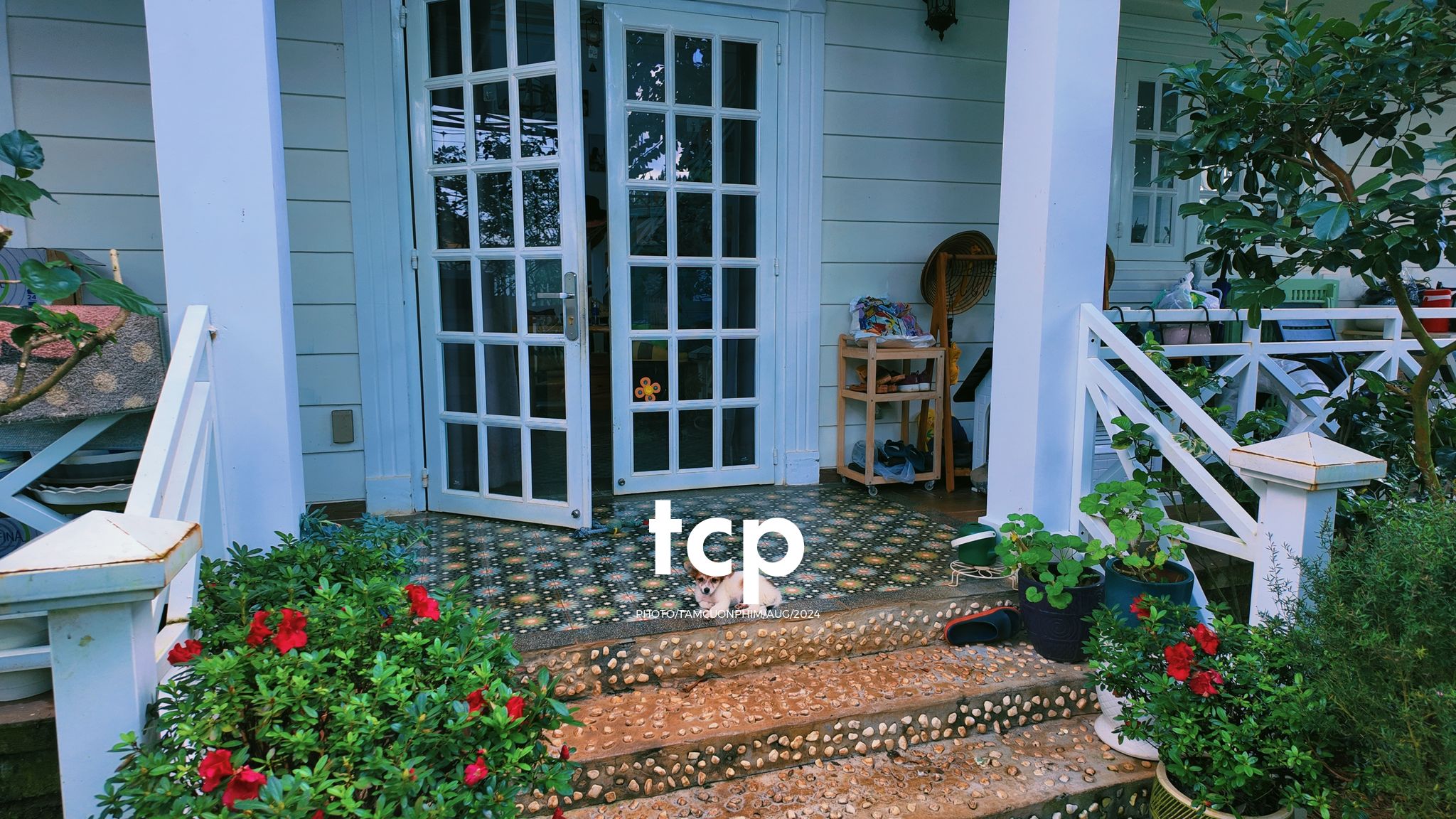 Tám Cuộn Phim - Một thoáng cao nguyên xanh mát