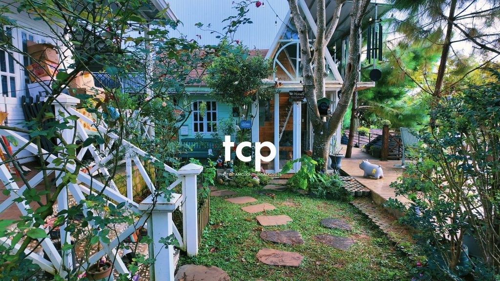 Tám Cuộn Phim - Một thoáng cao nguyên xanh mát