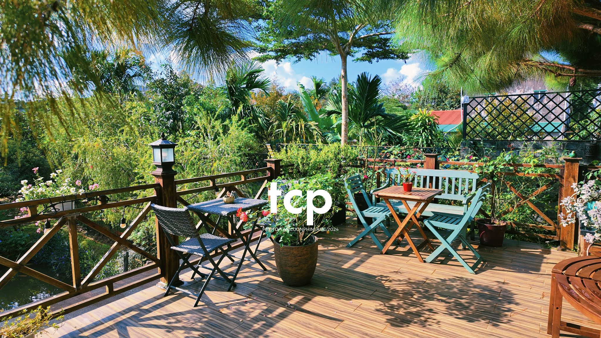 Tám Cuộn Phim - Một thoáng cao nguyên xanh mát