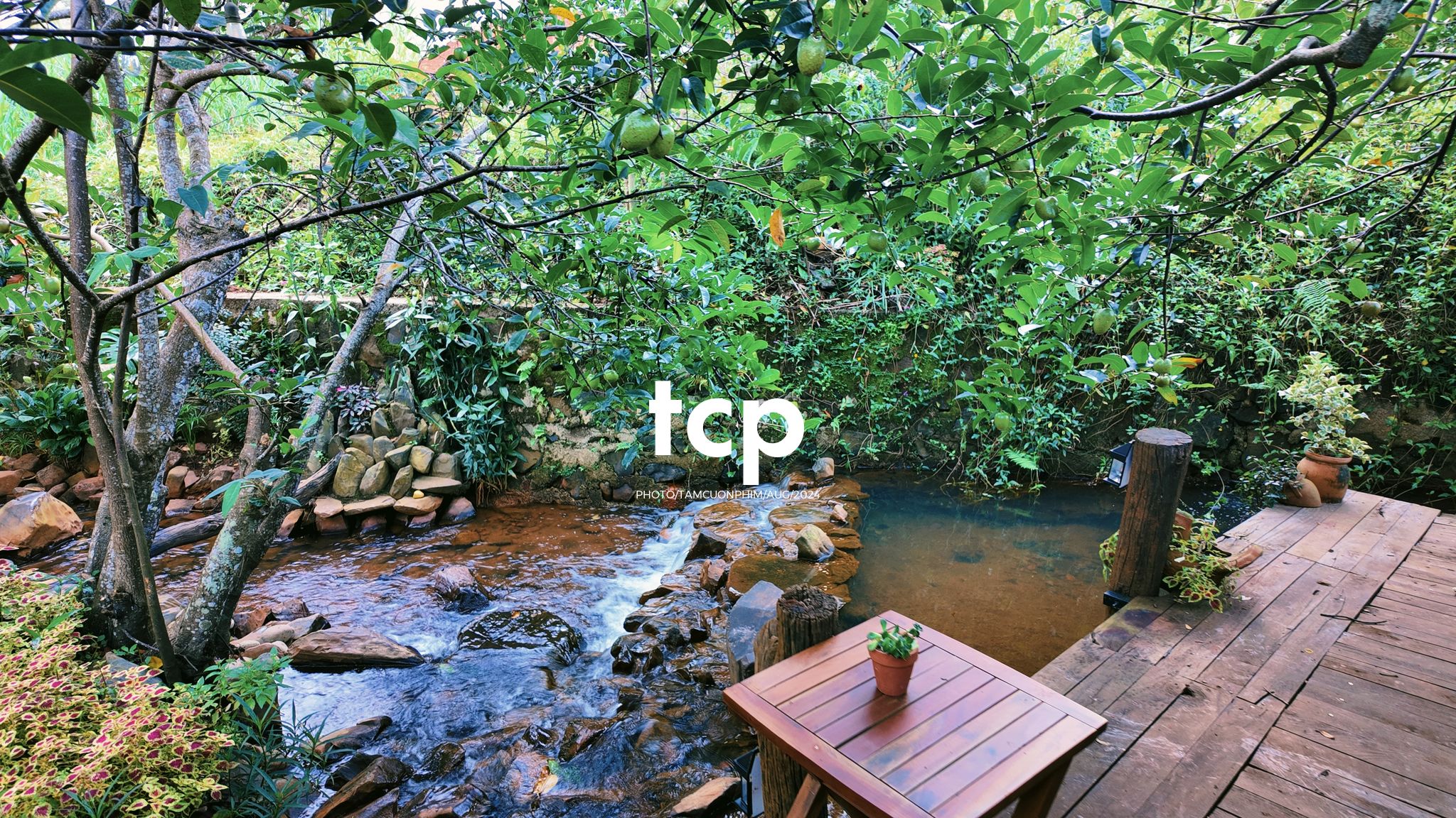 Tám Cuộn Phim - Một thoáng cao nguyên xanh mát