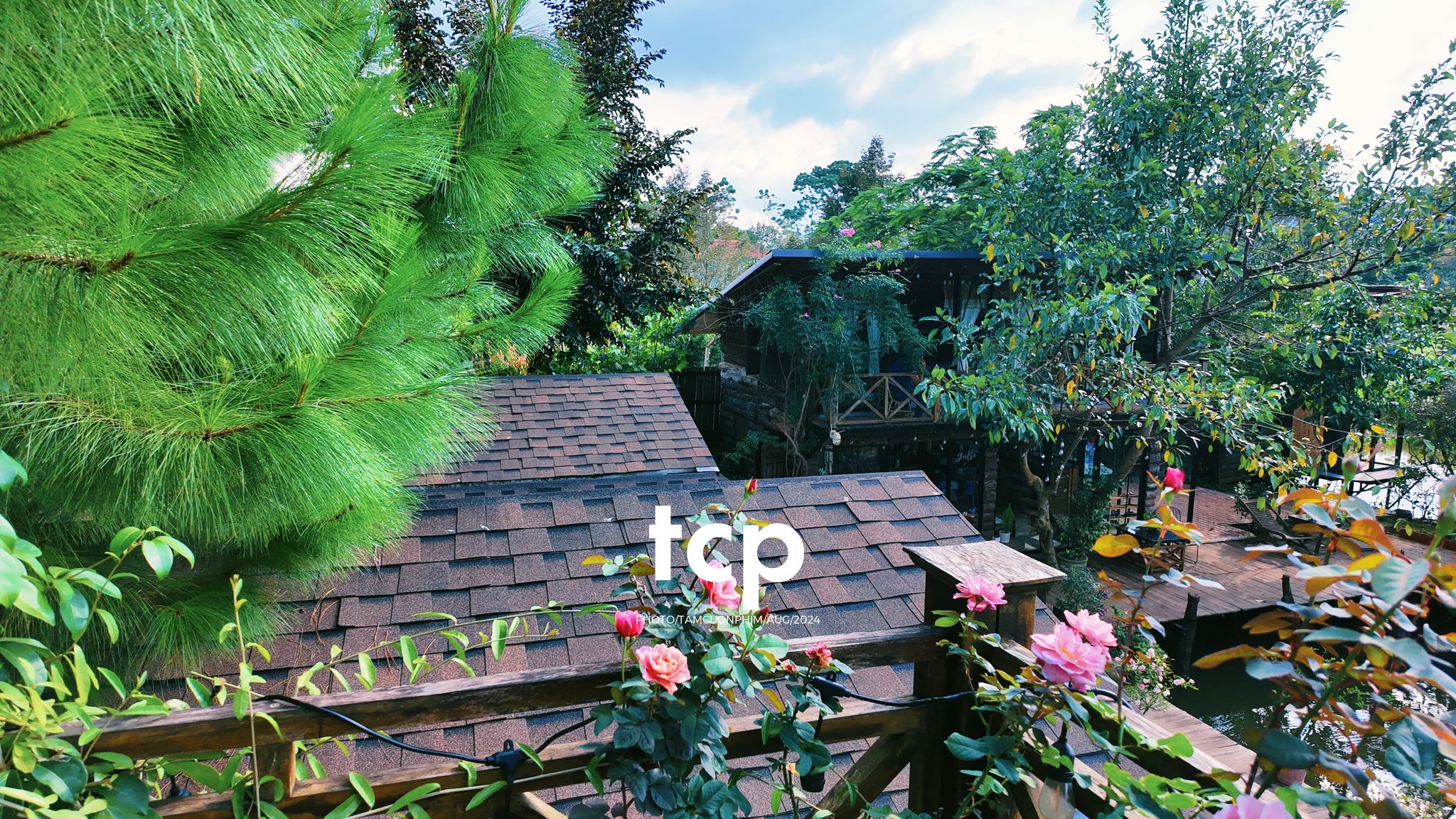 Tám Cuộn Phim - Một thoáng cao nguyên xanh mát