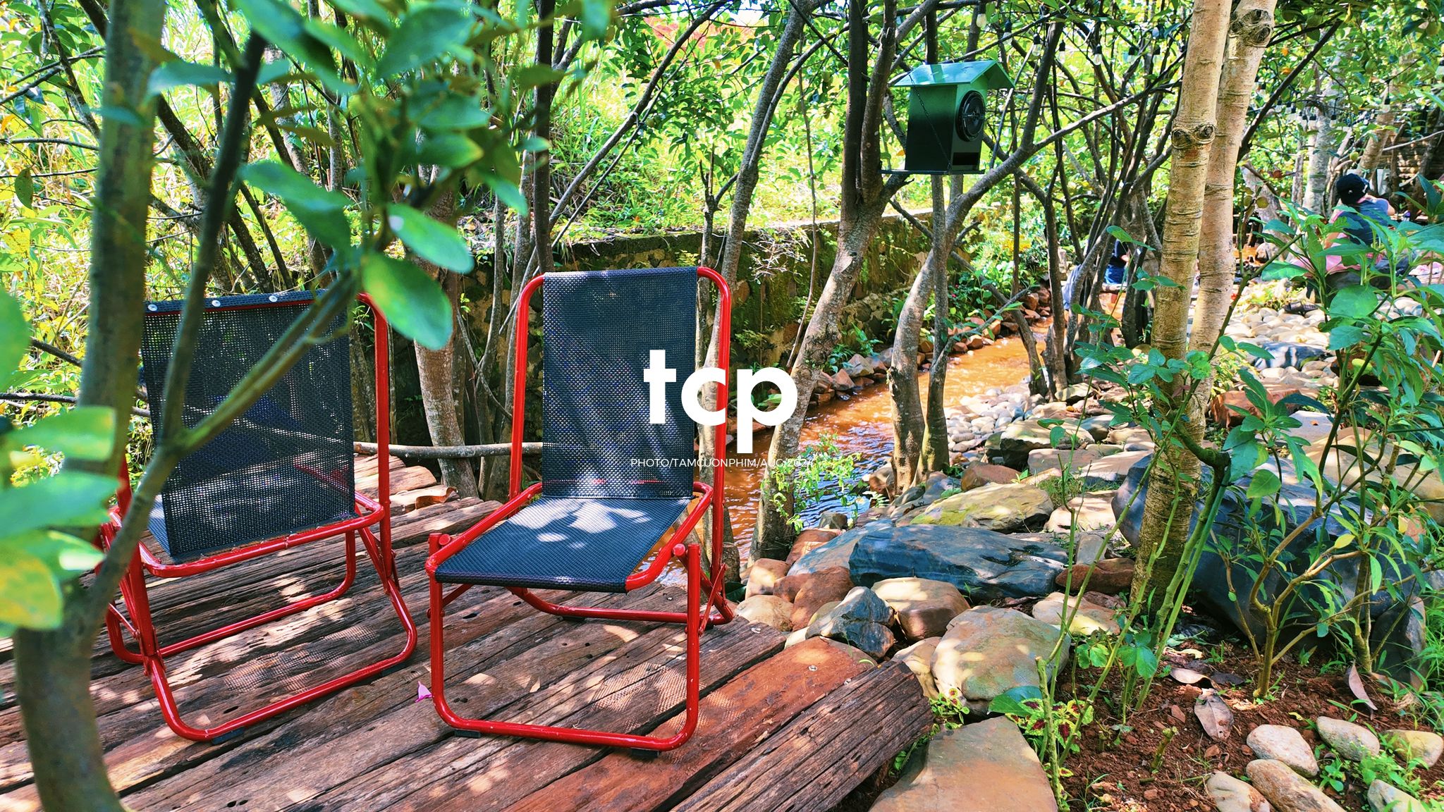 Tám Cuộn Phim - Một thoáng cao nguyên xanh mát