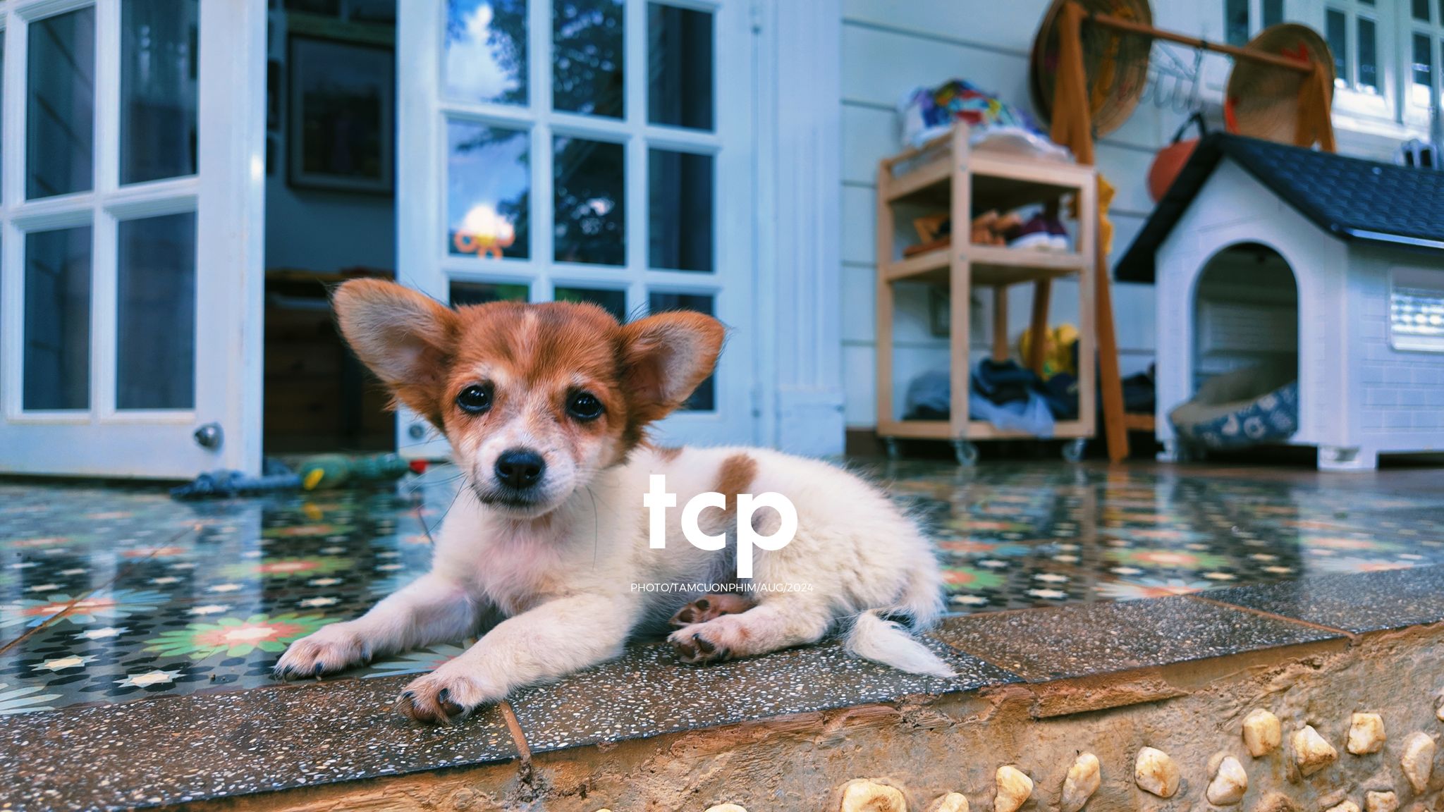 Tám Cuộn Phim - Một thoáng cao nguyên xanh mát