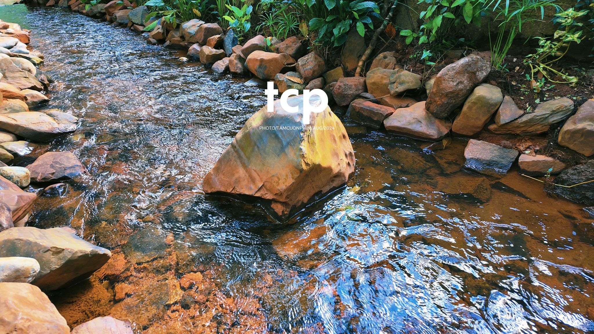 Tám Cuộn Phim - Một thoáng cao nguyên xanh mát