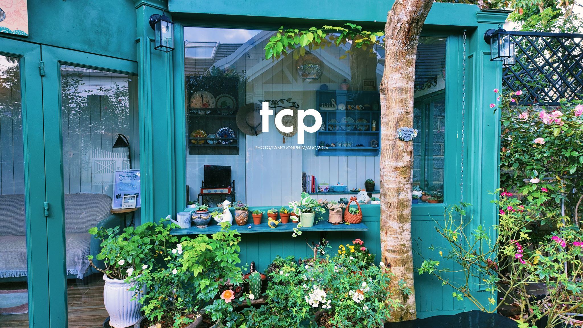 Tám Cuộn Phim - Một thoáng cao nguyên xanh mát