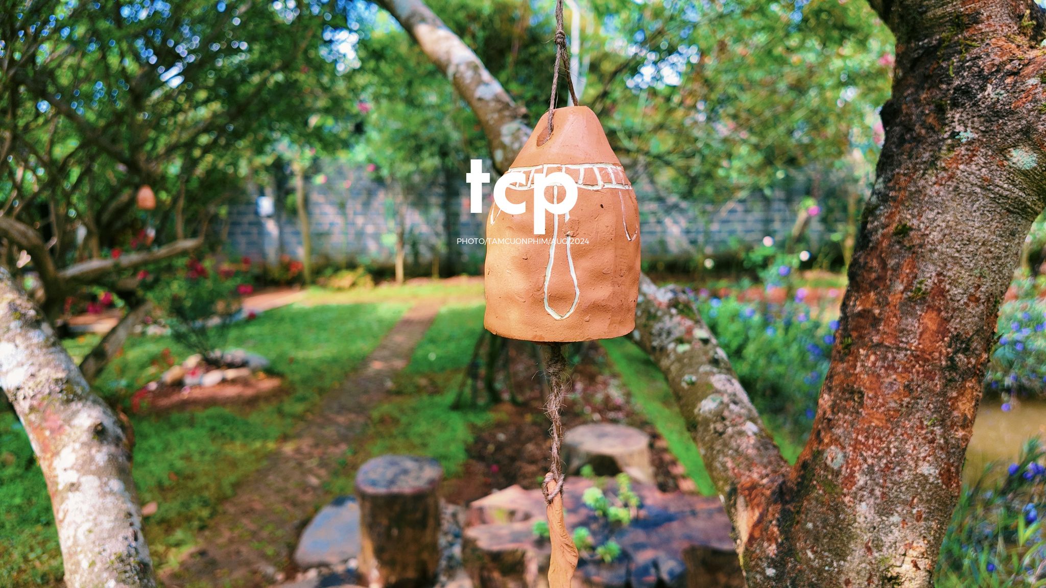 Tám Cuộn Phim - Một thoáng cao nguyên xanh mát