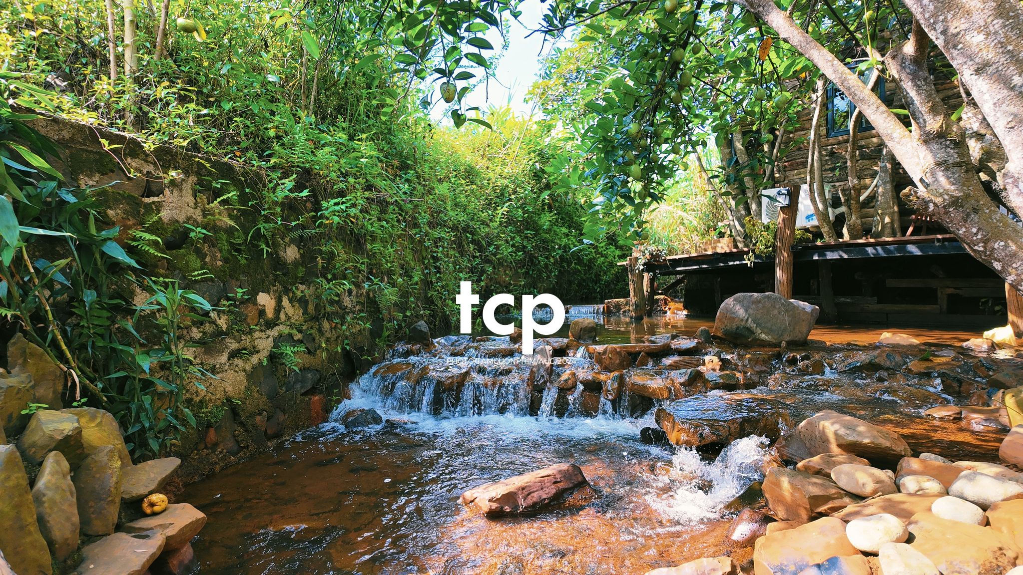 Tám Cuộn Phim - Một thoáng cao nguyên xanh mát