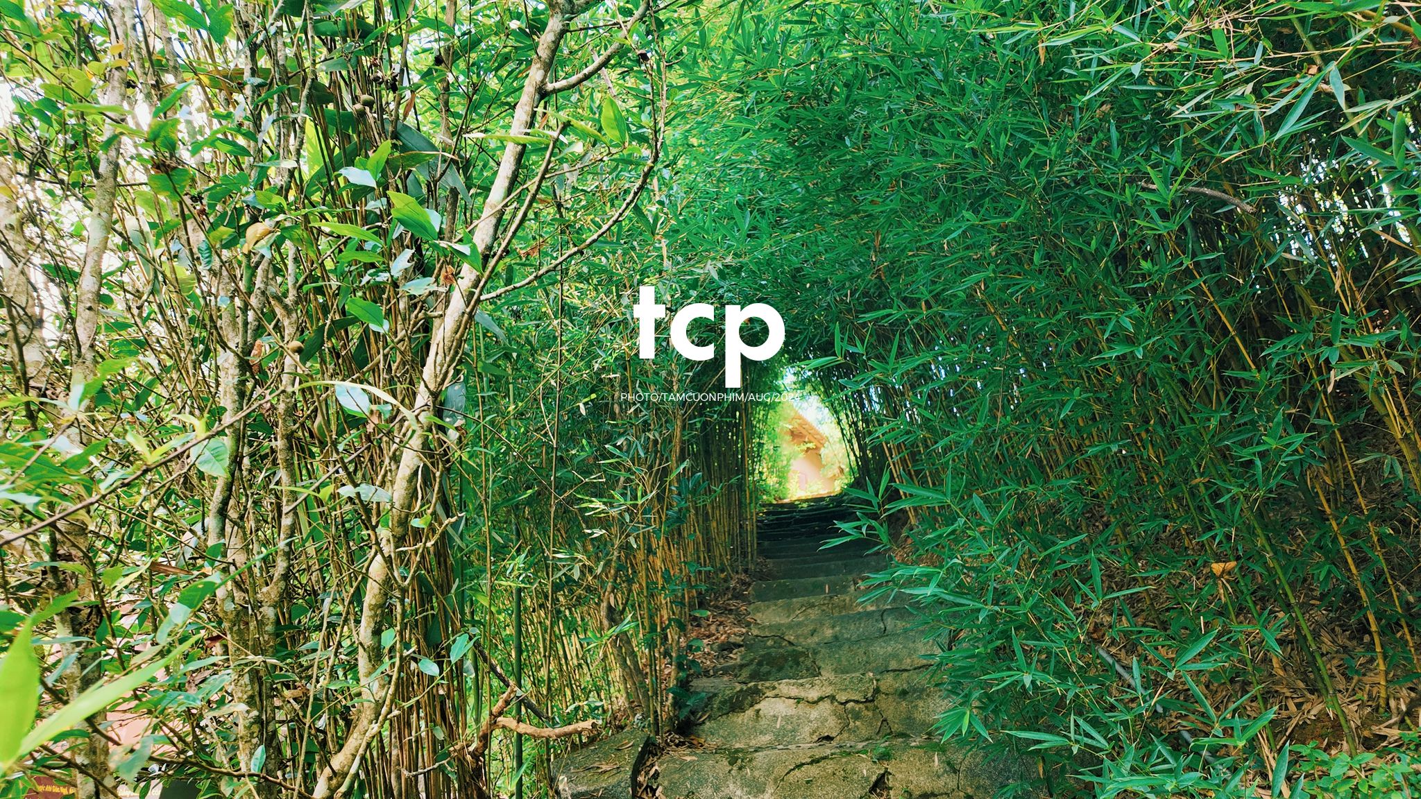 Tám Cuộn Phim - Một thoáng cao nguyên xanh mát