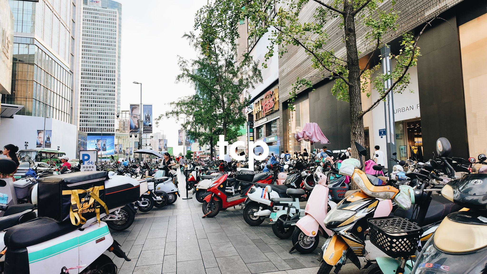 Tám Cuộn Phim - Những khoảnh khắc giao thoa giữa truyền thống và hiện đại