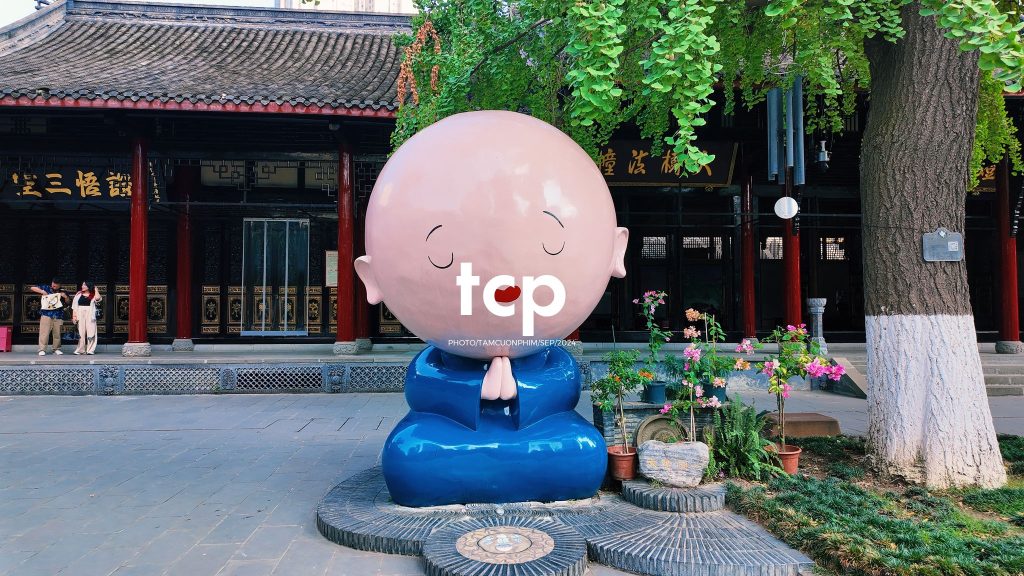 Tám Cuộn Phim - Những khoảnh khắc giao thoa giữa truyền thống và hiện đại