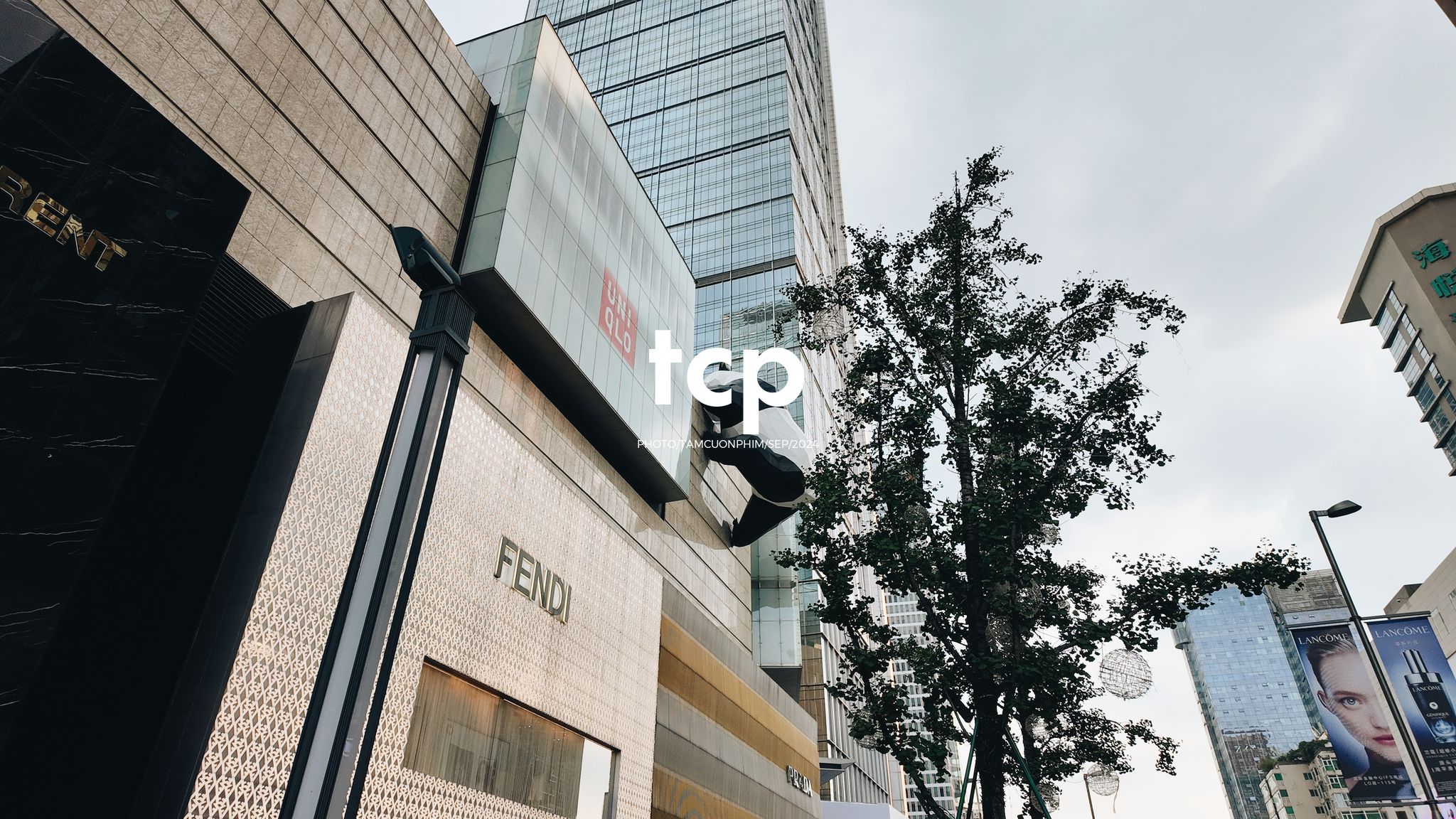 Tám Cuộn Phim - Những khoảnh khắc giao thoa giữa truyền thống và hiện đại