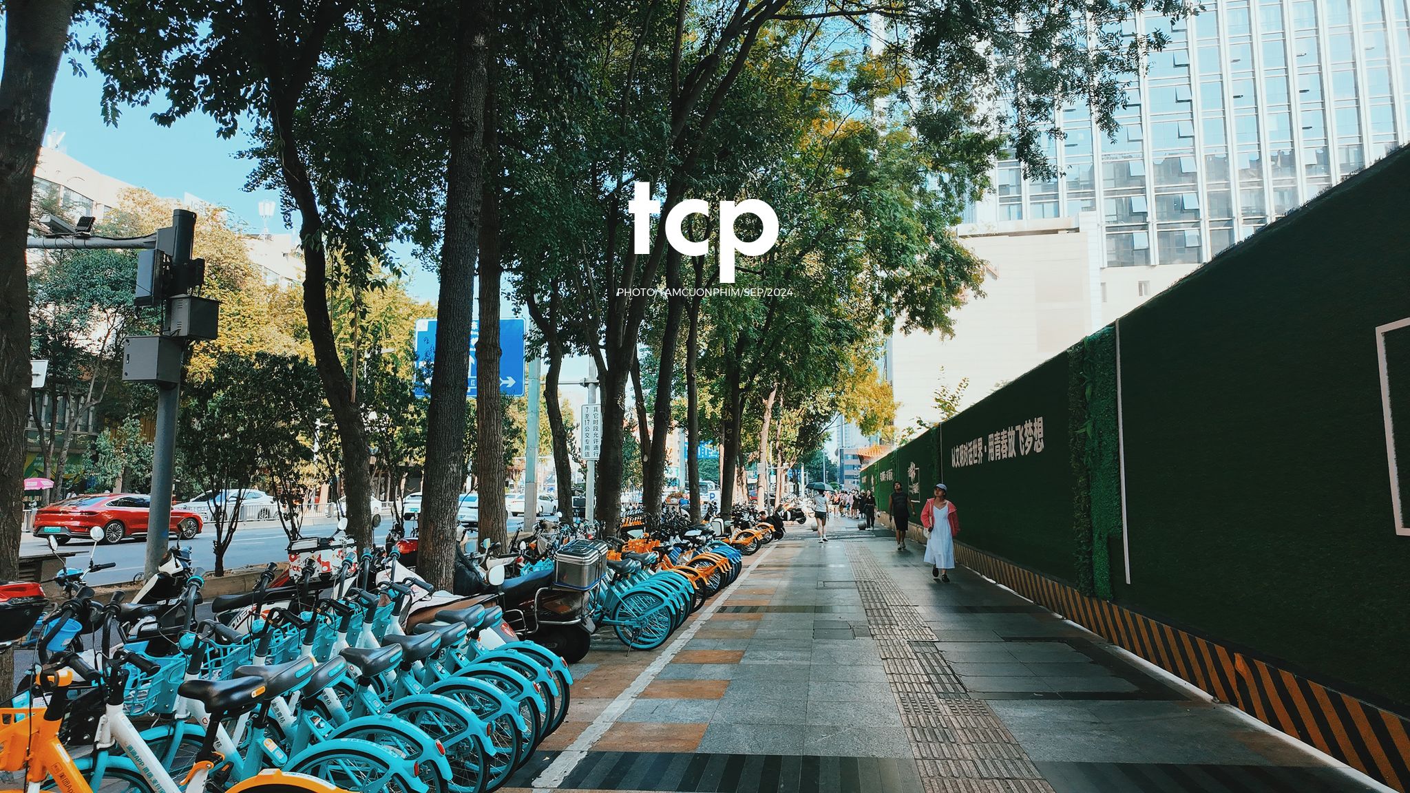 Tám Cuộn Phim - Những khoảnh khắc giao thoa giữa truyền thống và hiện đại