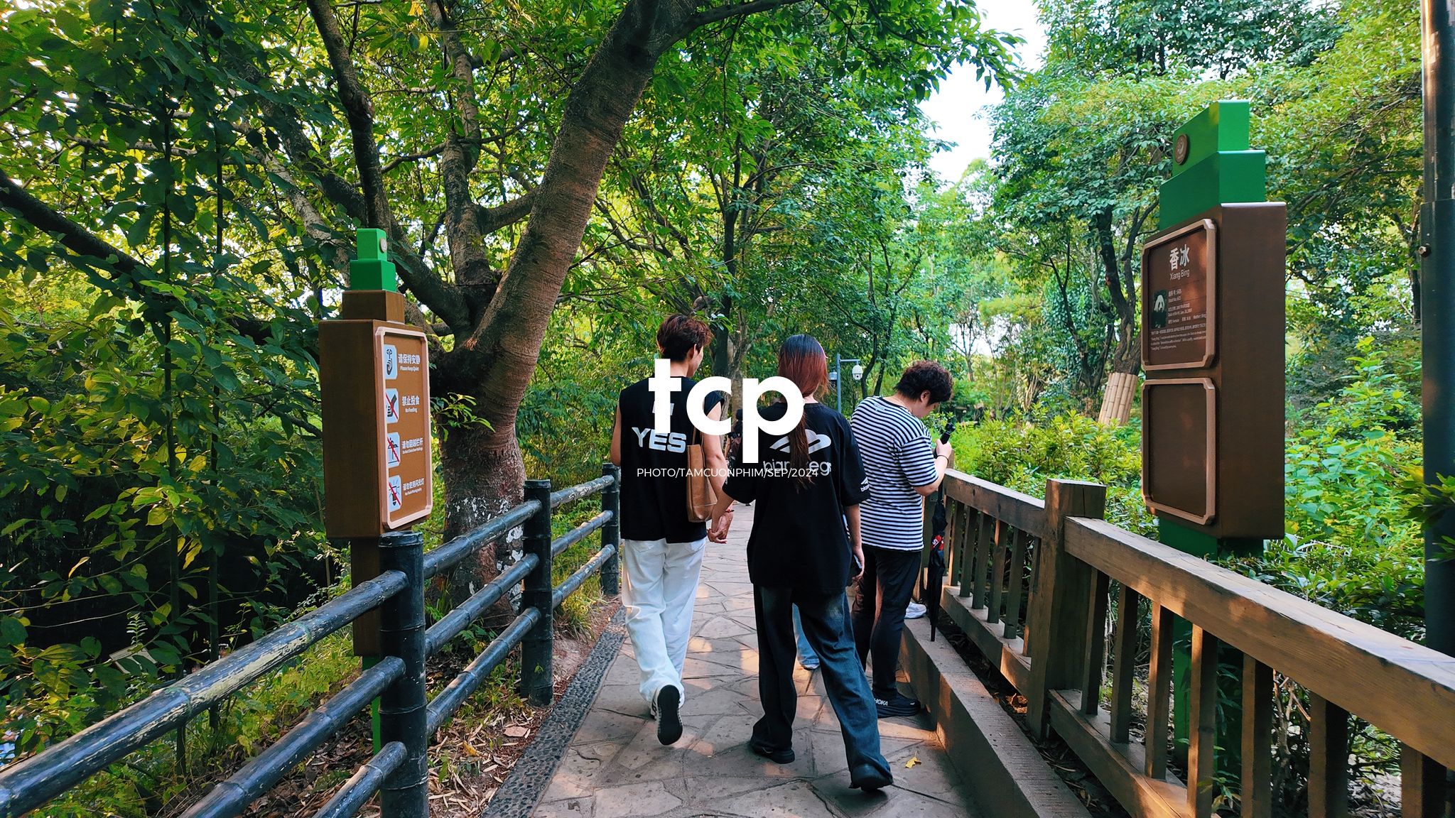 Tám Cuộn Phim - Những khoảnh khắc giao thoa giữa truyền thống và hiện đại