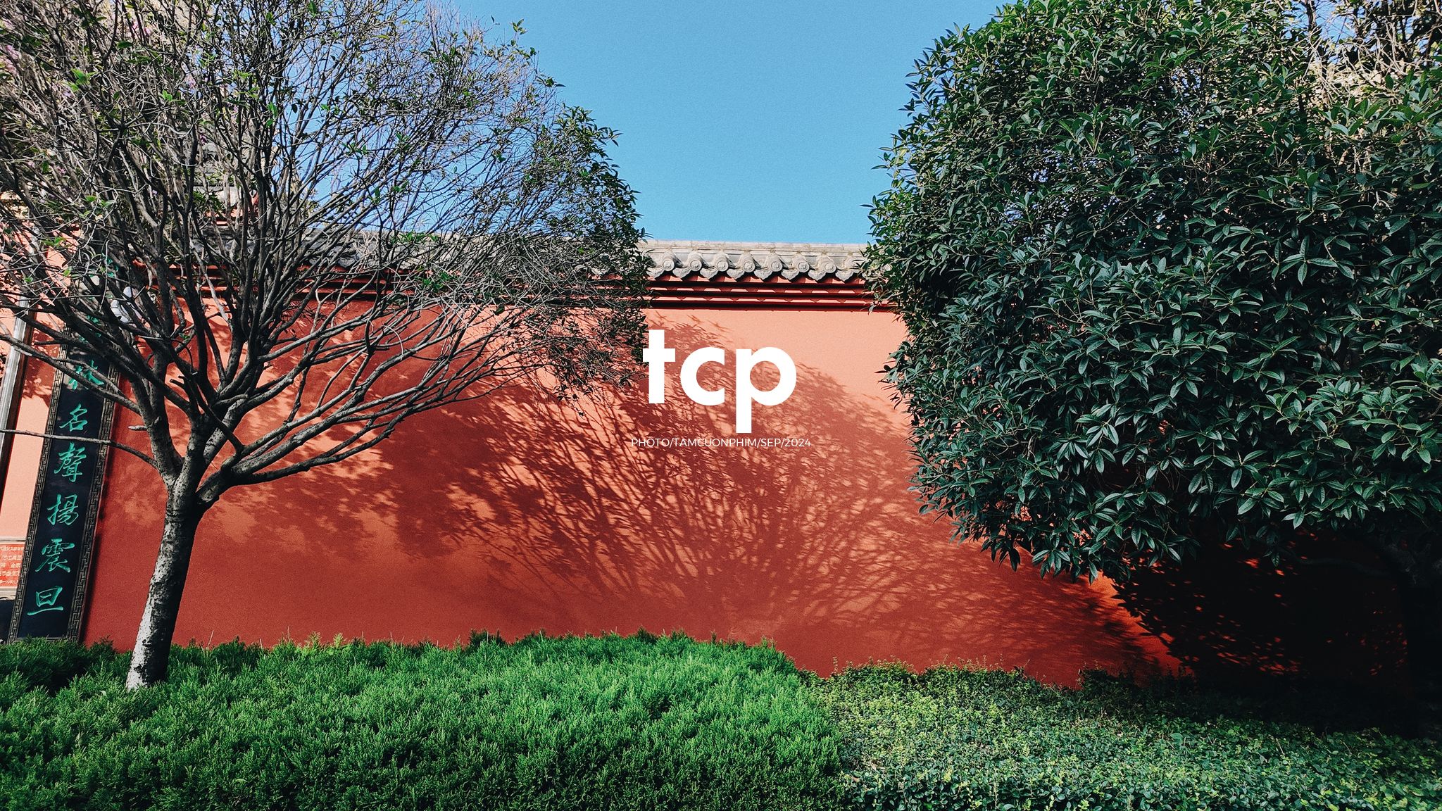 Tám Cuộn Phim - Những khoảnh khắc giao thoa giữa truyền thống và hiện đại