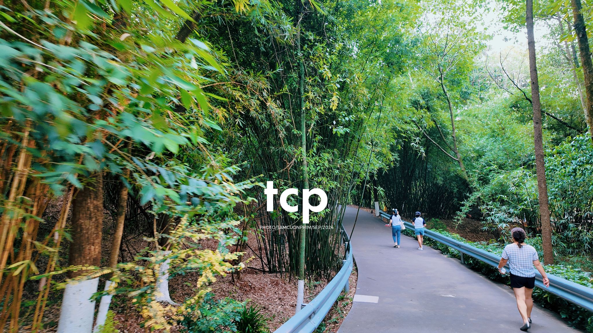 Tám Cuộn Phim - Những khoảnh khắc giao thoa giữa truyền thống và hiện đại