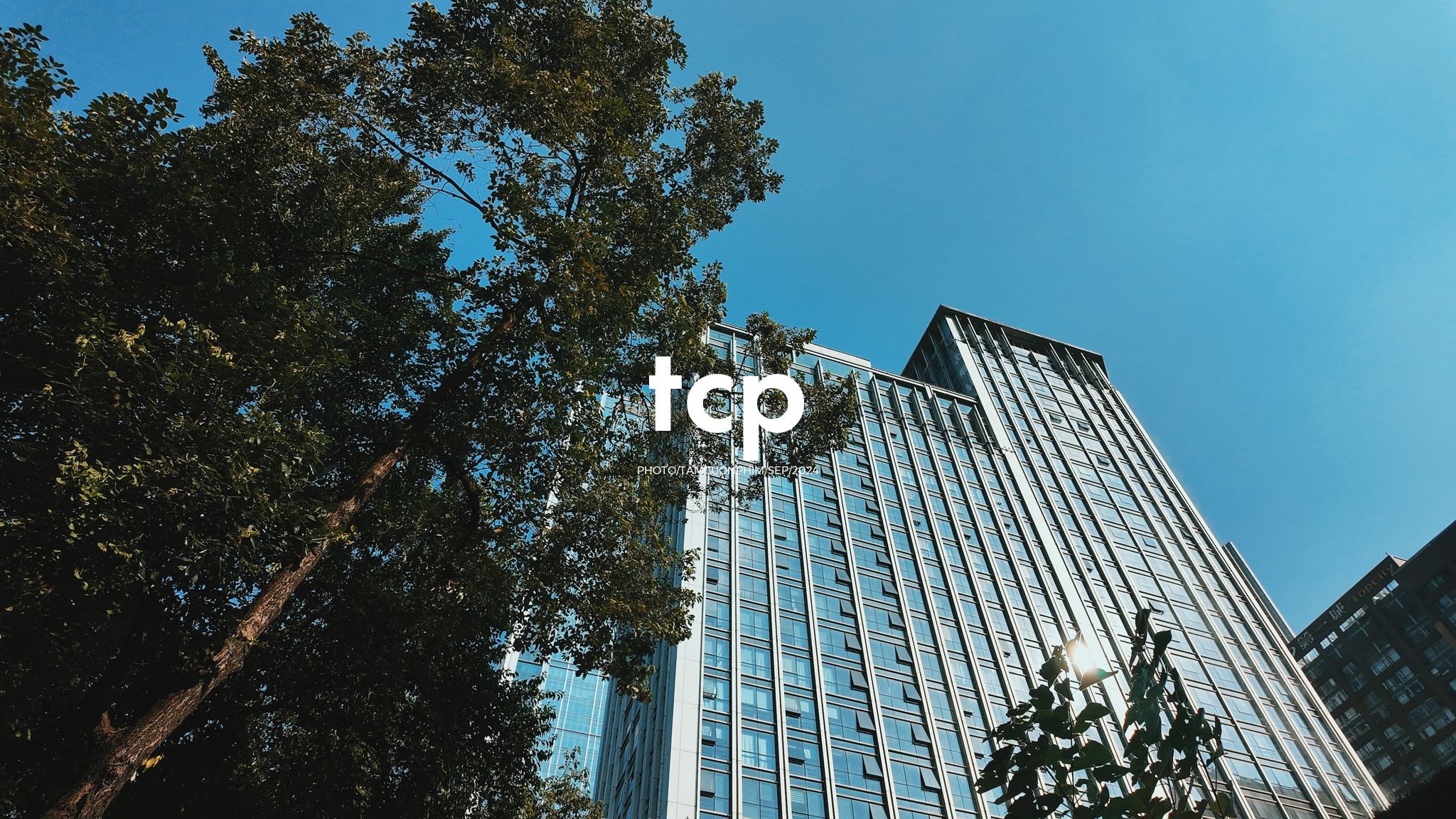 Tám Cuộn Phim - Những khoảnh khắc giao thoa giữa truyền thống và hiện đại