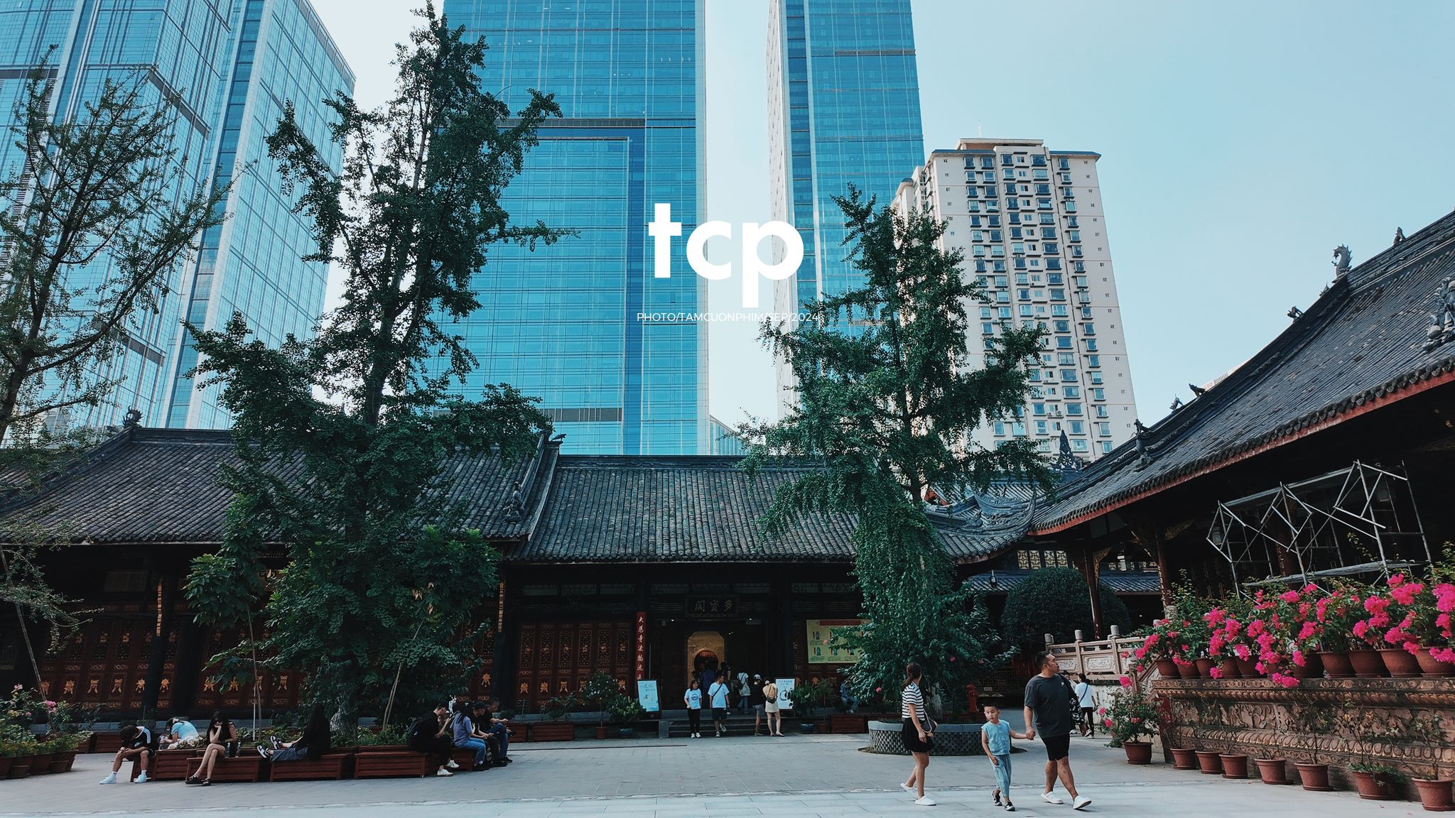 Tám Cuộn Phim - Những khoảnh khắc giao thoa giữa truyền thống và hiện đại